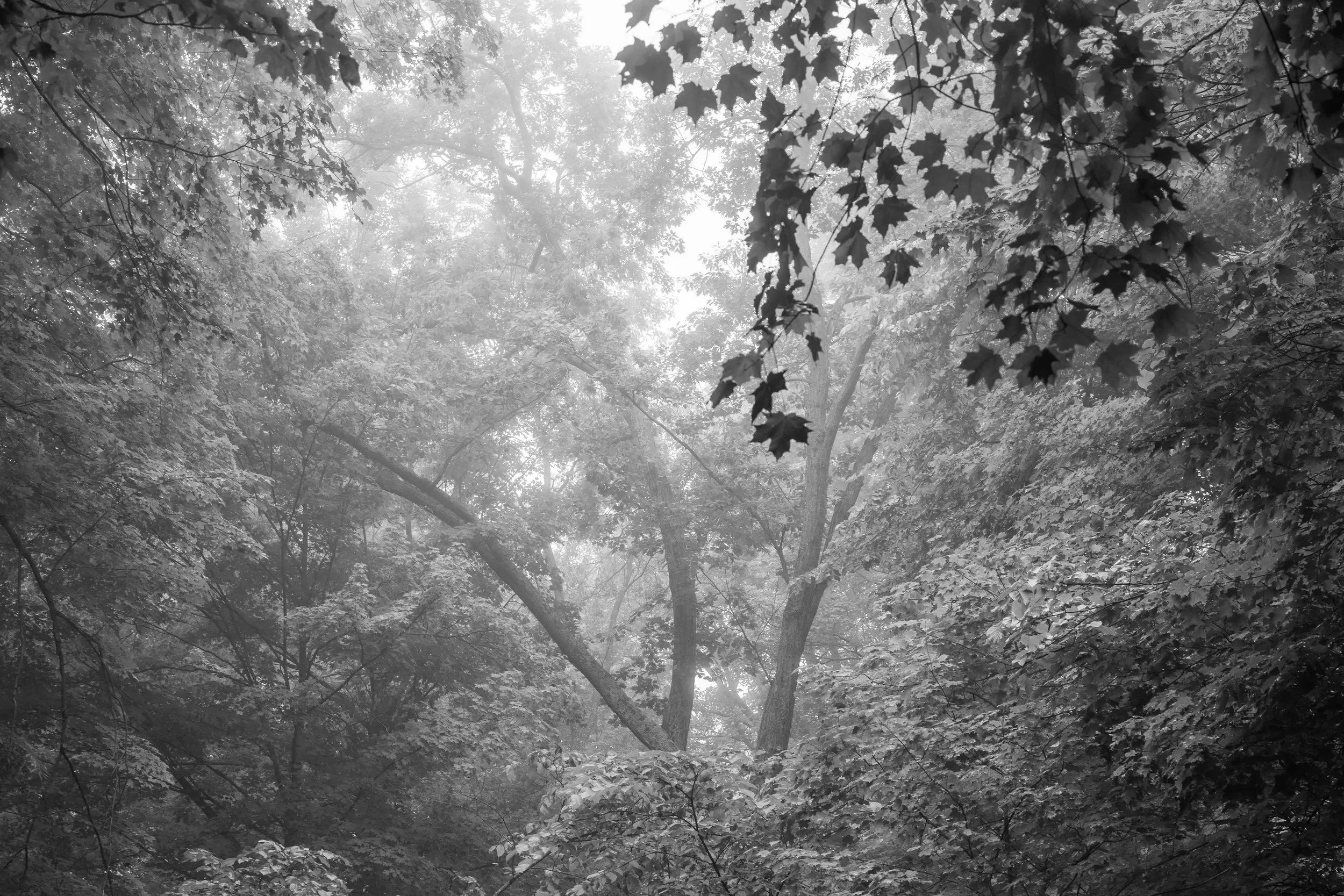 km - 2025-06-26-00474.jpg