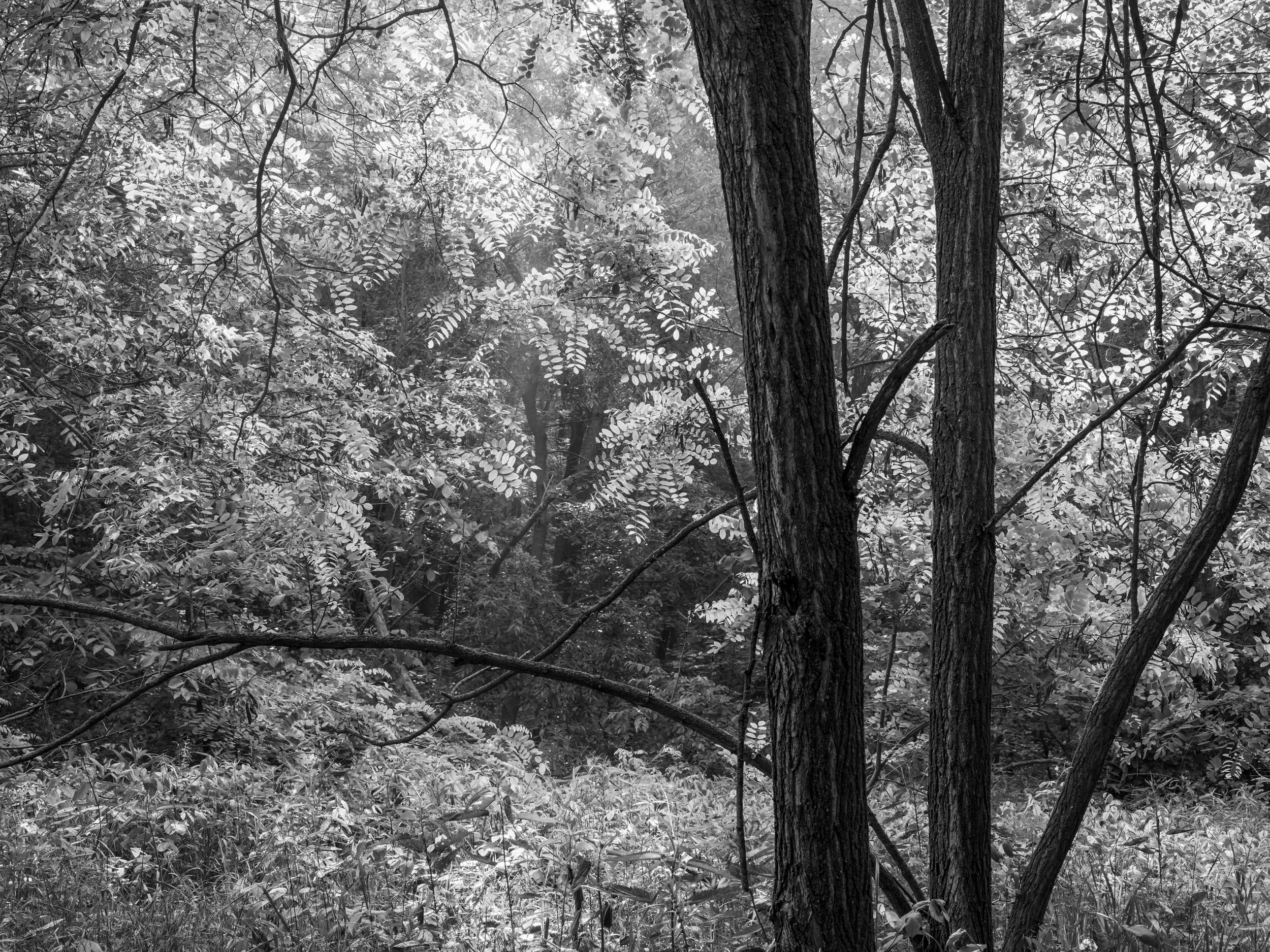 km - 2023-06-17-6170021 copy.jpg