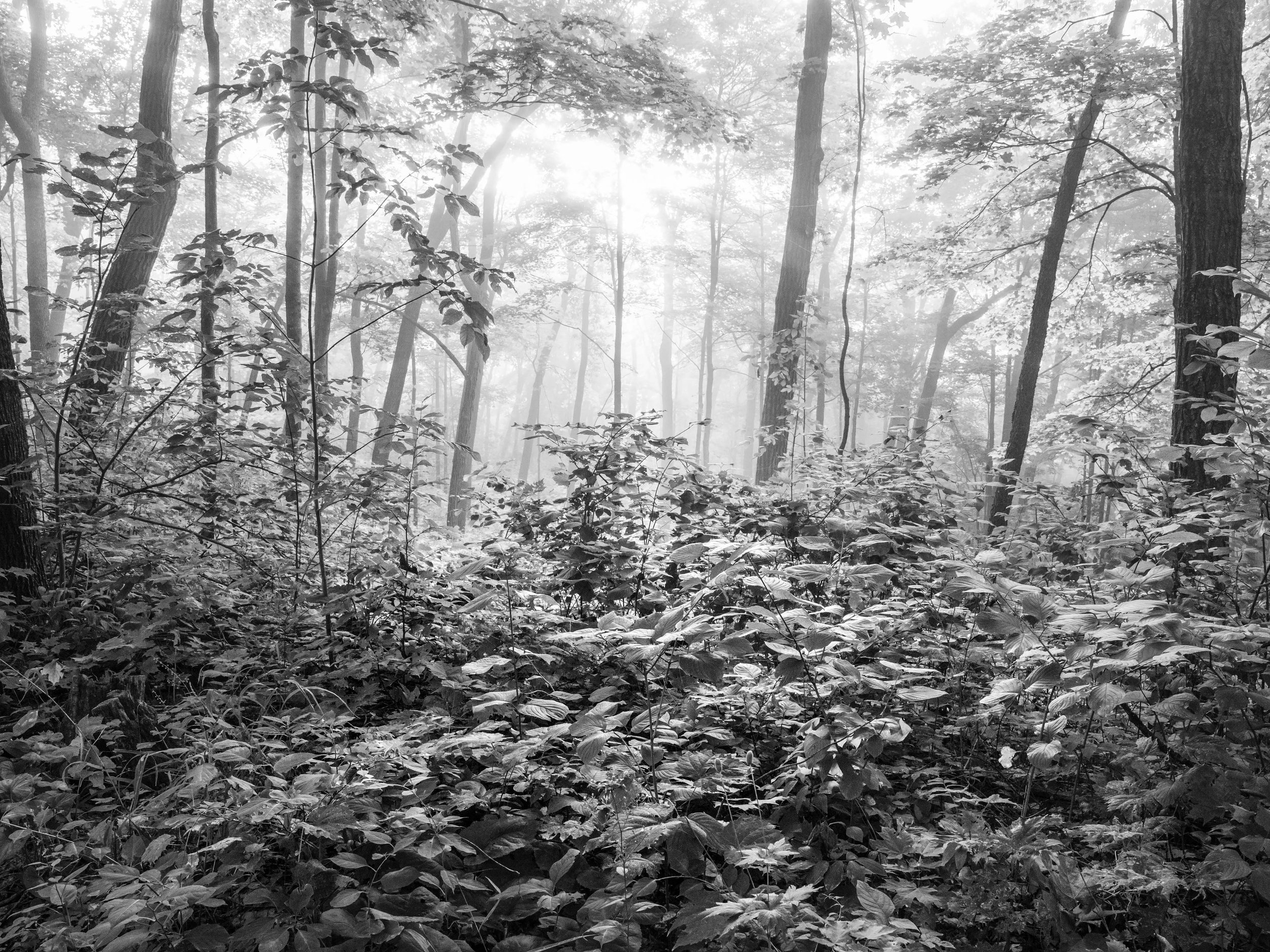 km - 2024-08-14-8141242 copy.jpg