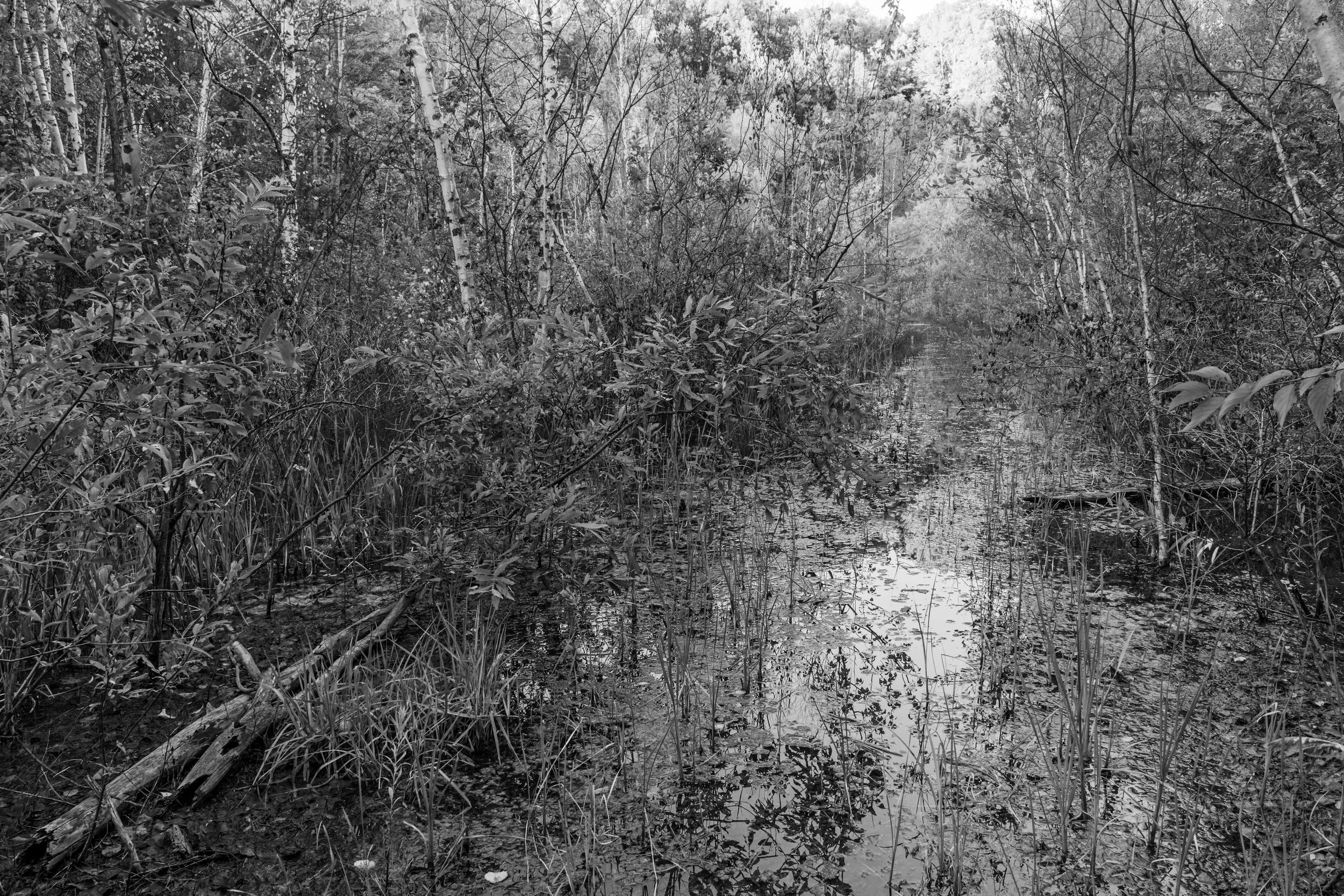 km - 2020-08-18-08890 copy.jpg