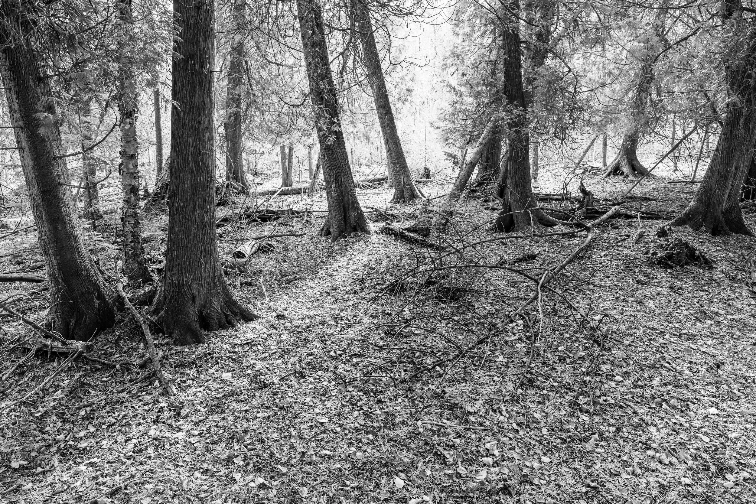 newport sp - 2025-10-25-04945 copy.jpg