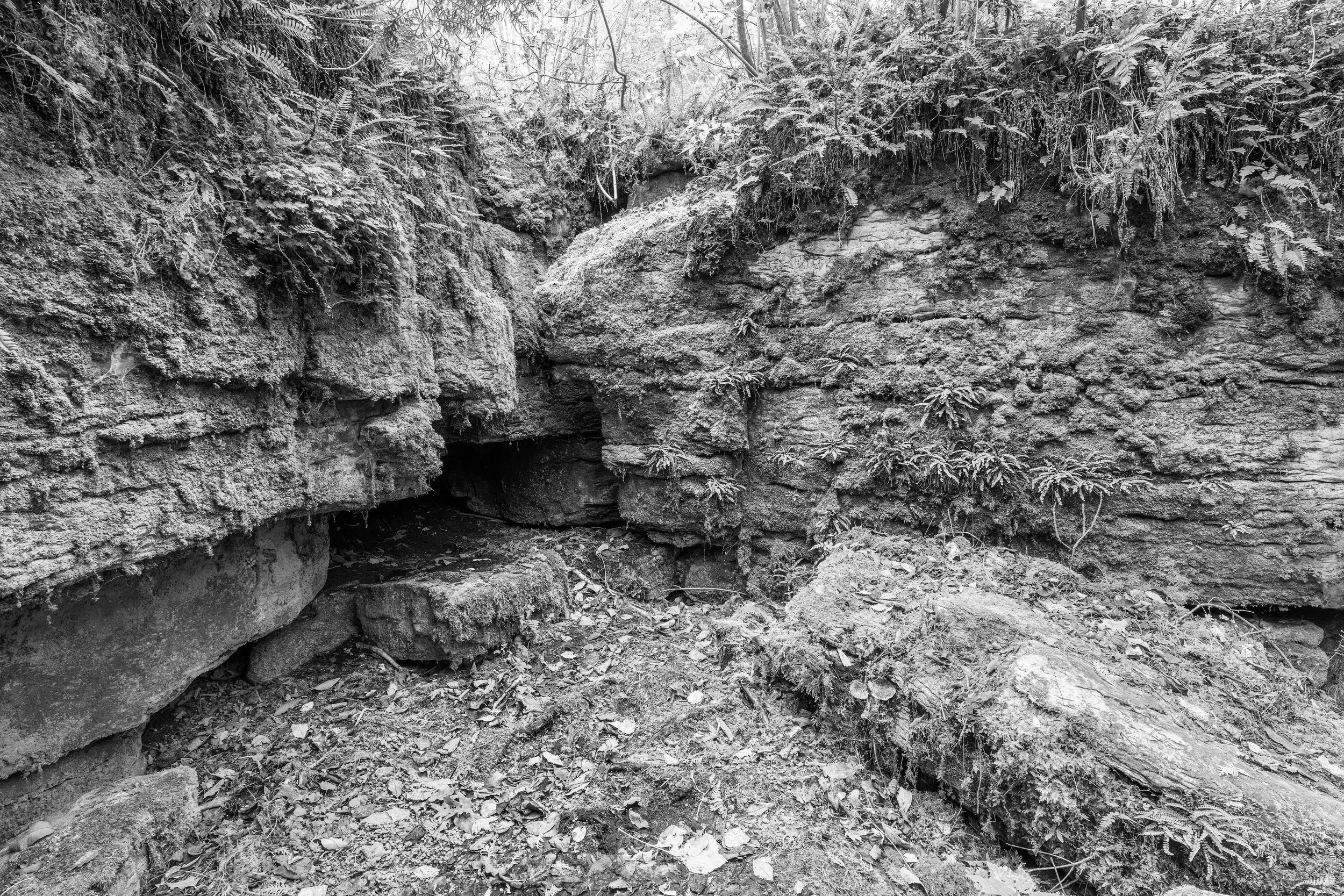 newport sp - 2025-10-25-04928 copy.jpg