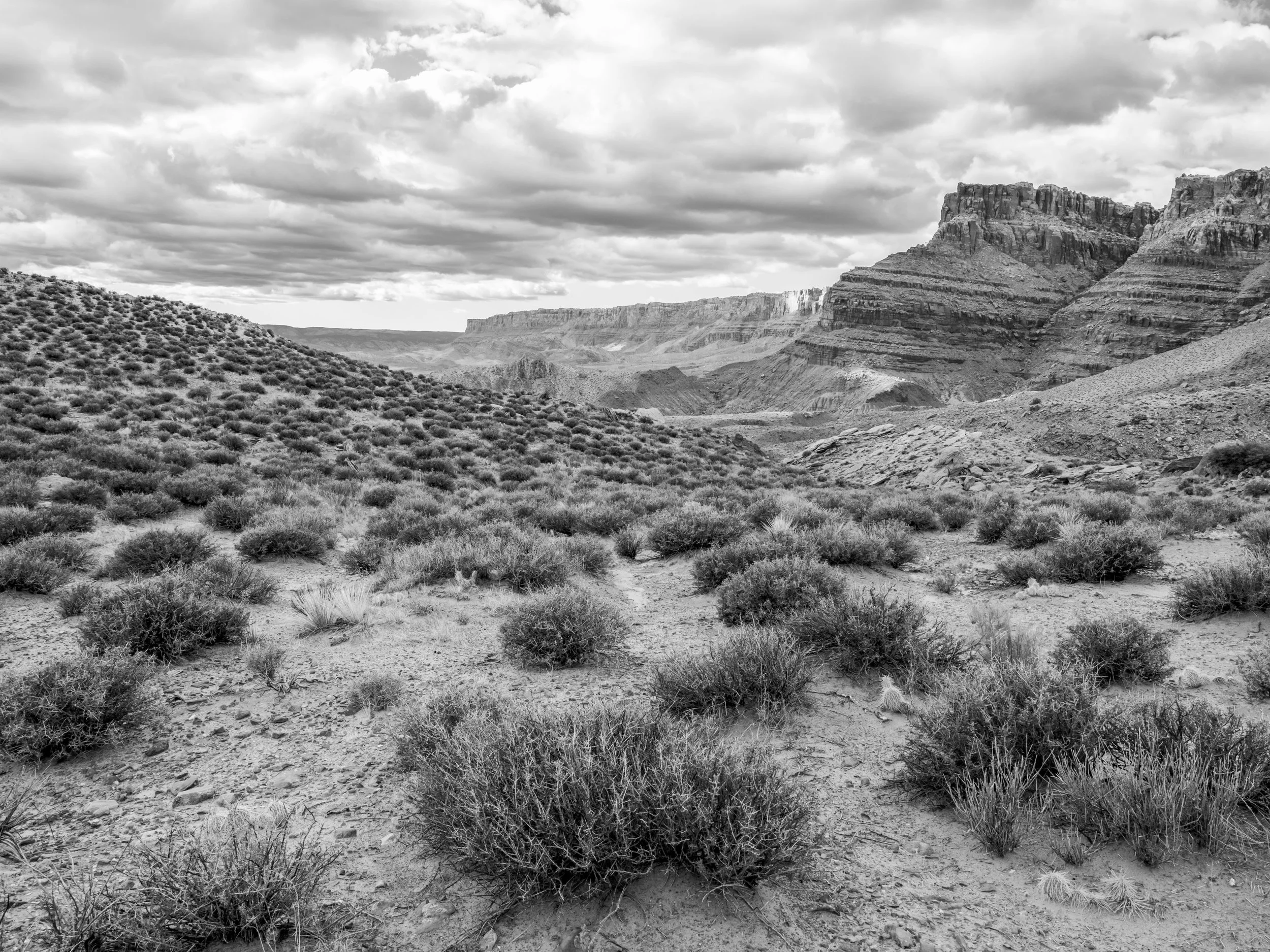 AZ 2026 - vermillion cliffs nm - sand crack-150663.jpg