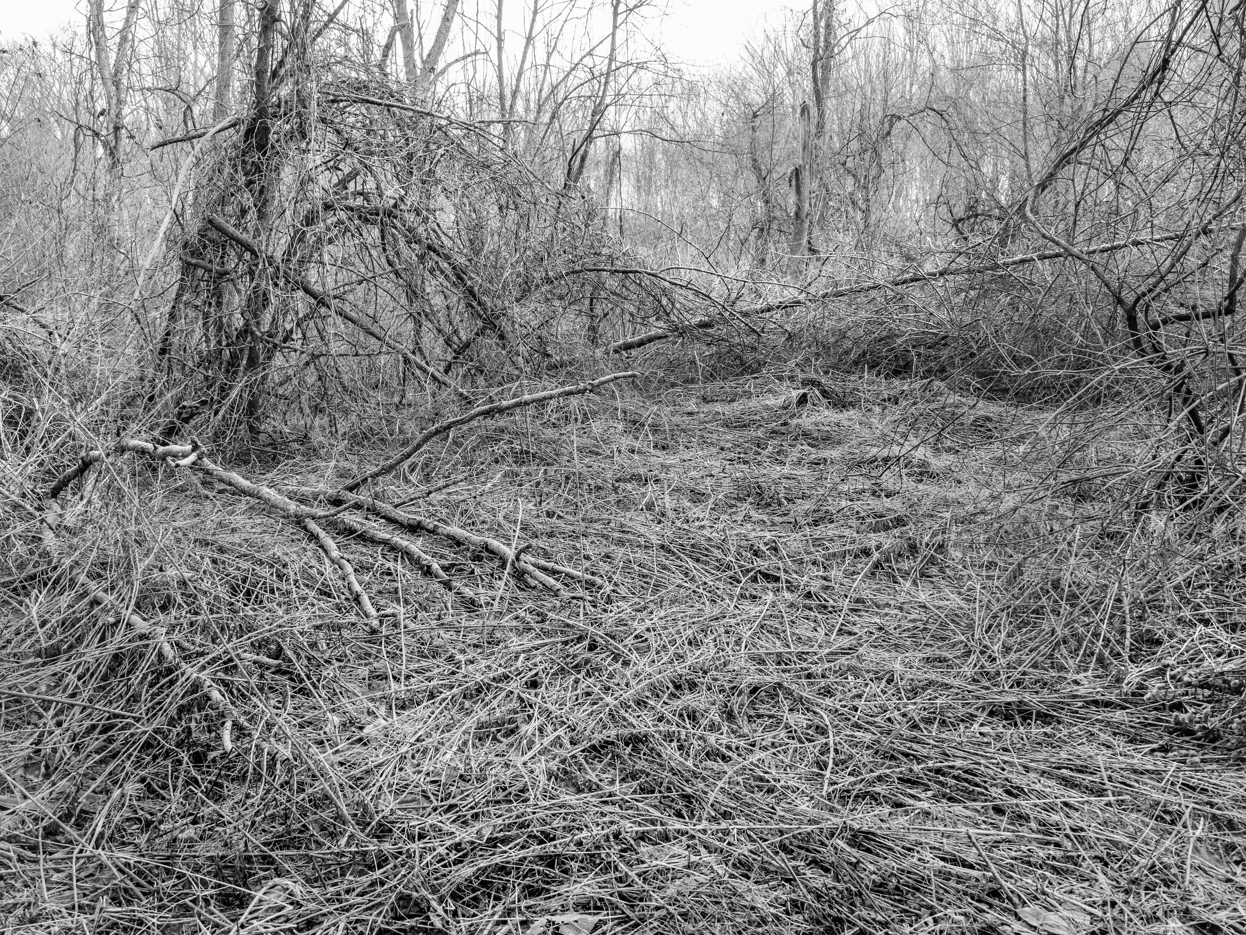 km - 2024-03-15-3154151 copy.jpg