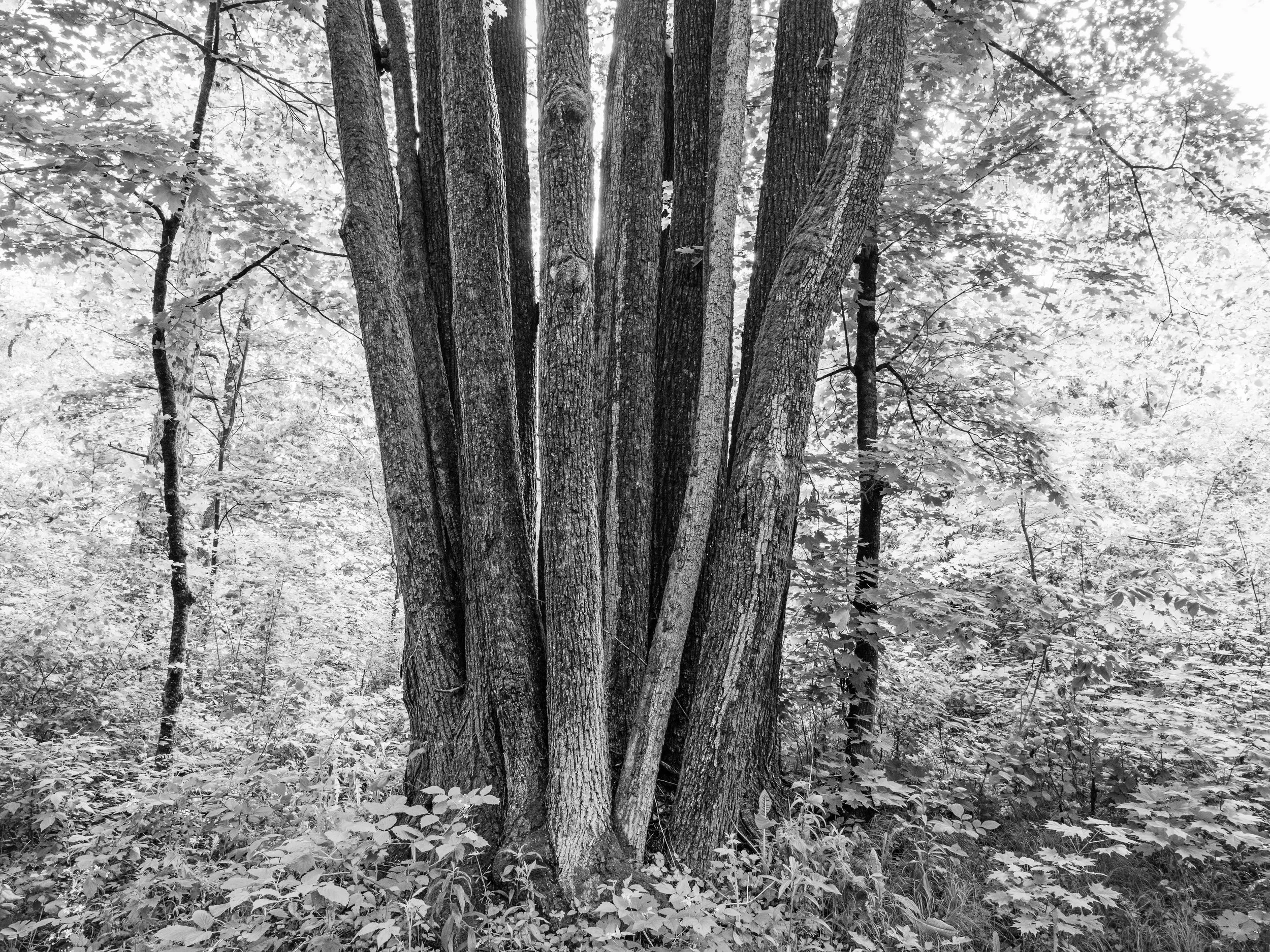 km - 2022-06-07-6070504 copy.jpg