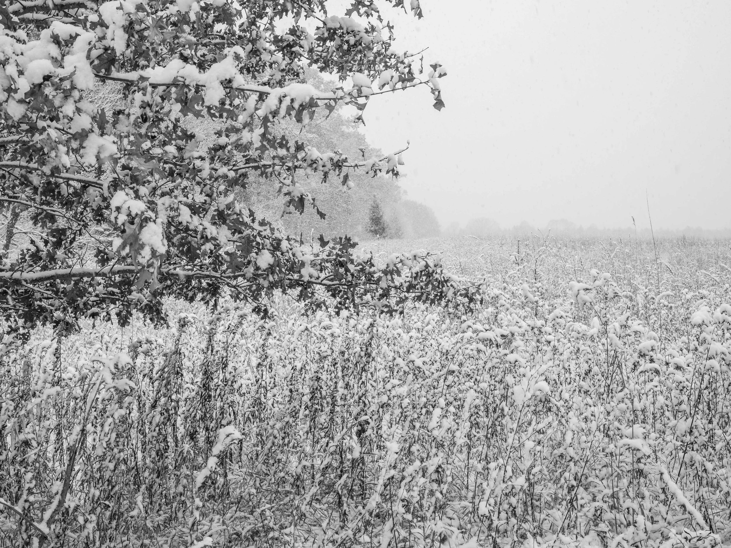 km - 2023-10-31-315086 copy.jpg