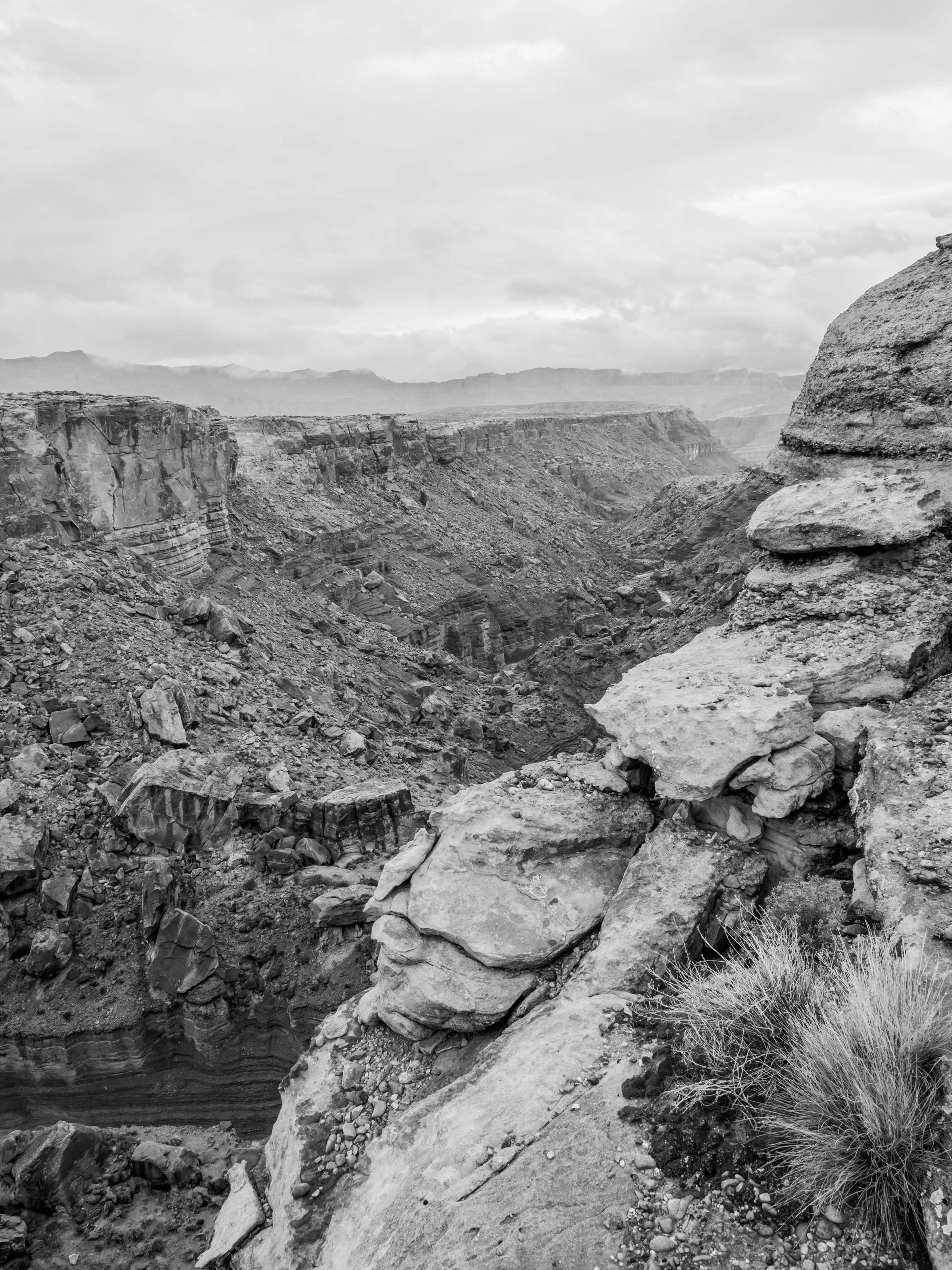AZ 2026 - Glen Canyon NRA - chocalate cliffs-129763.jpg