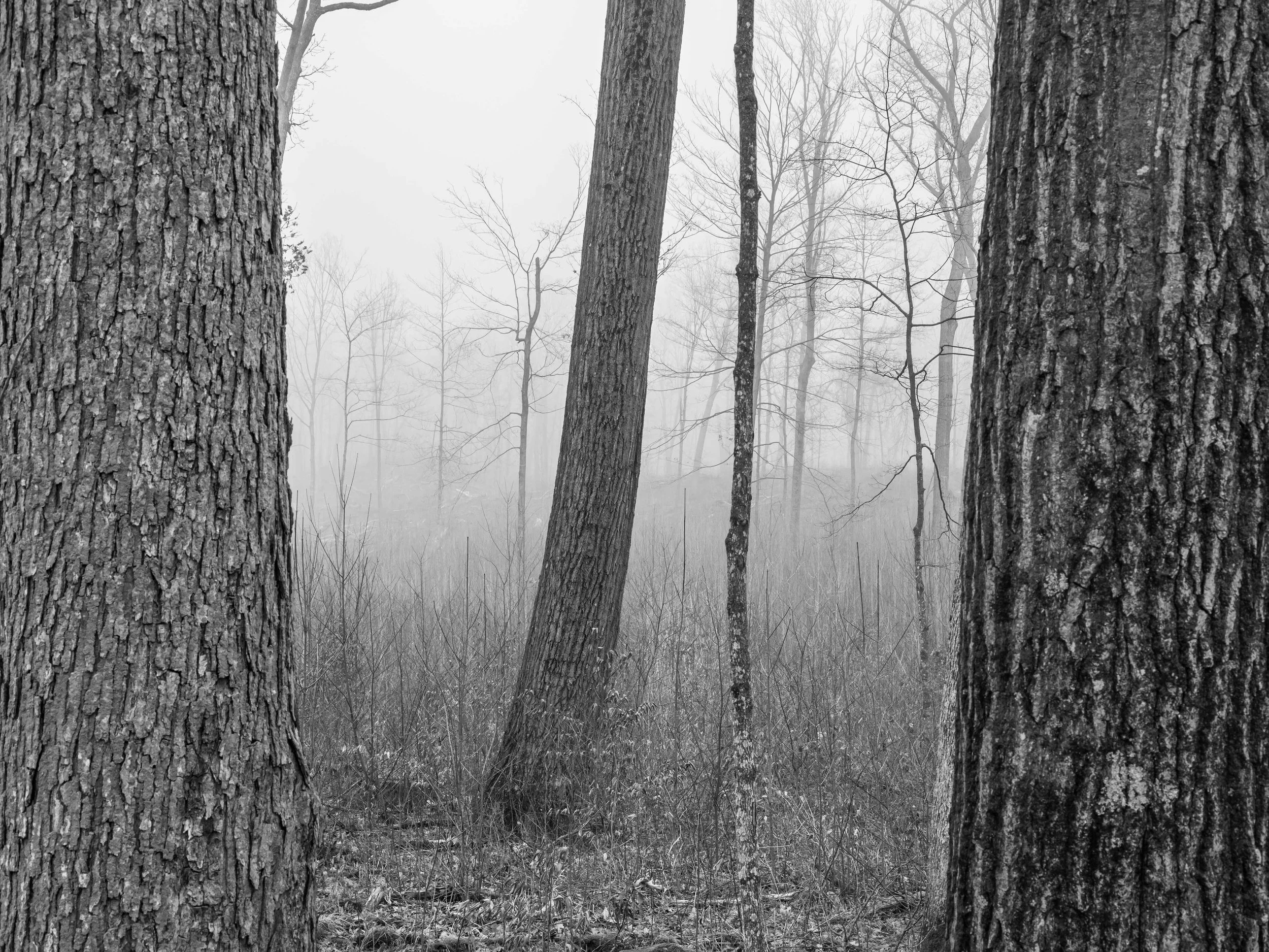 km - 2024-03-03-3033616 copy.jpg