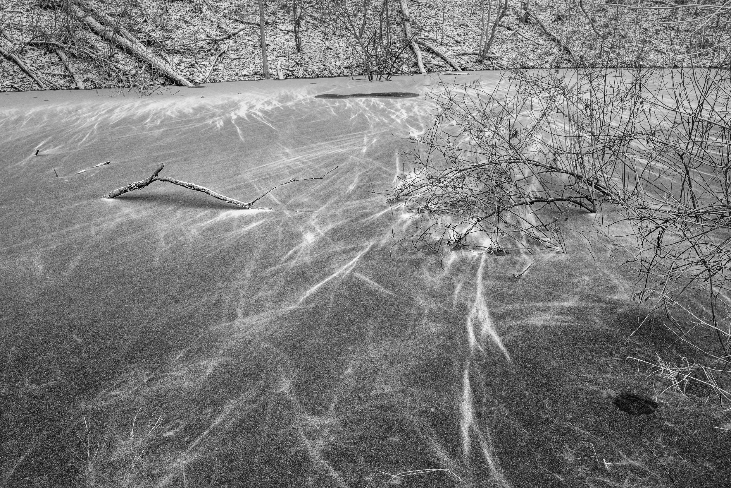 km - 2022-03-26-0658 copy.jpg