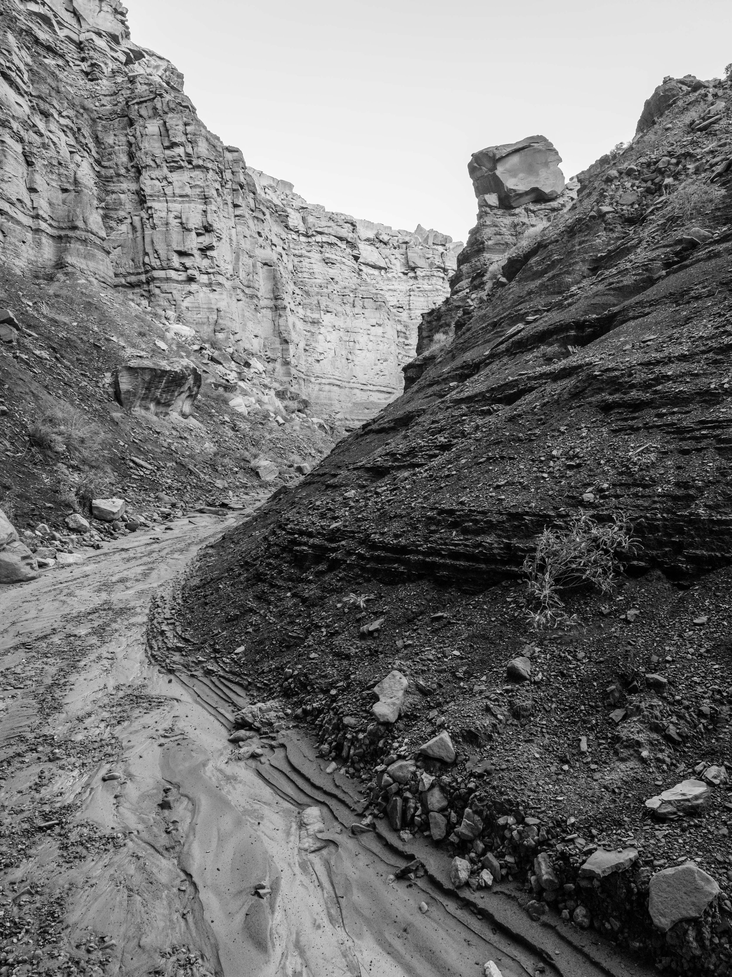 AZ 2026 - Glen Canyon NRA - Cathedral wash-160757.jpg