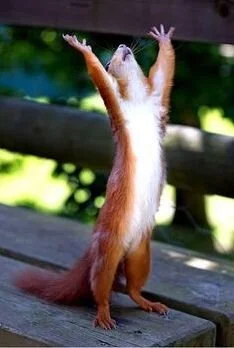 Michelle Webber is thankful for working with so many wonderful authors.