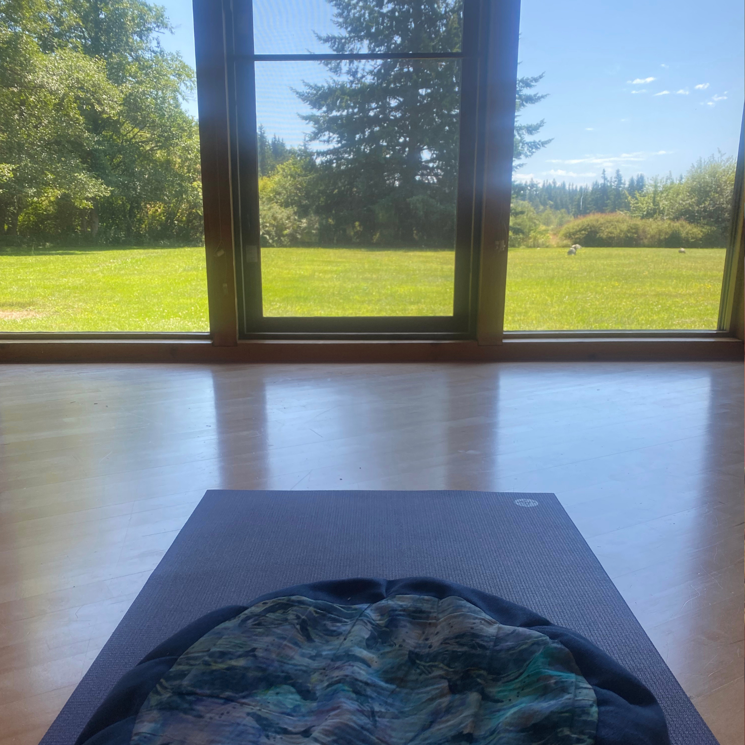 Marsh House Meditation