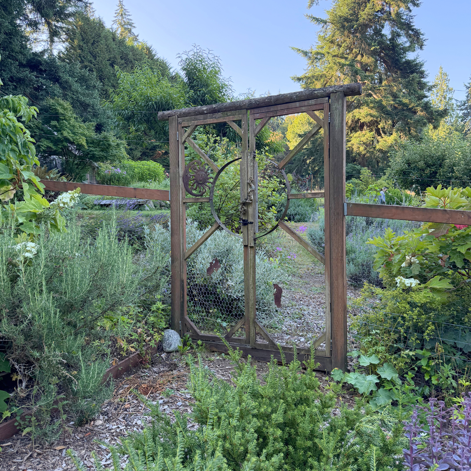 The Garden