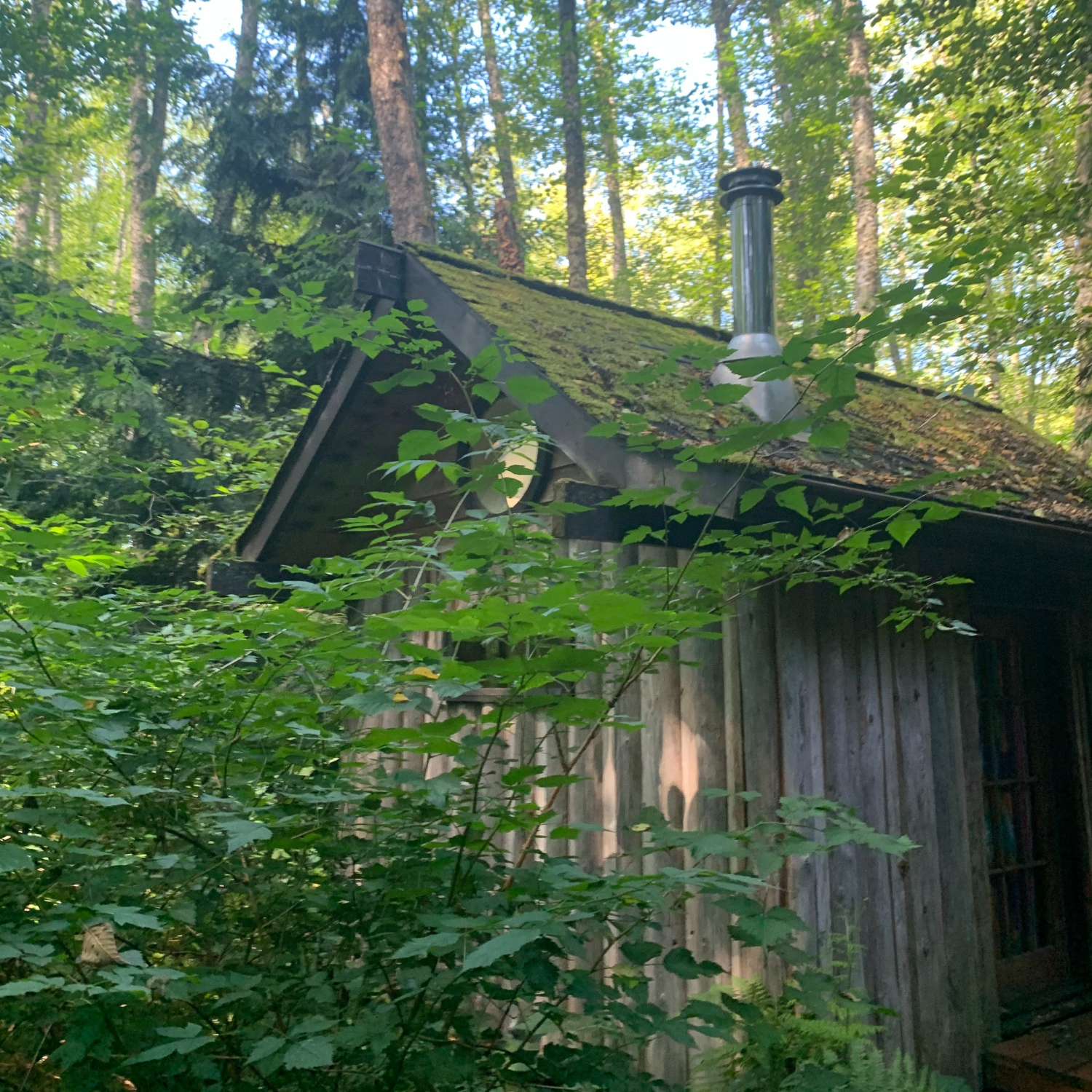 Single Room Cabin