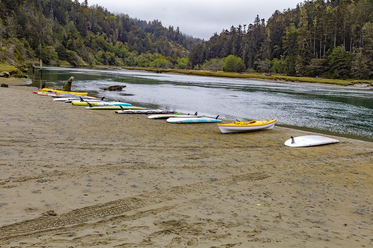 Kayaks and waterboards lined up at the edge of the river for Walk and Paddle for Cancer 2022 (Copy)