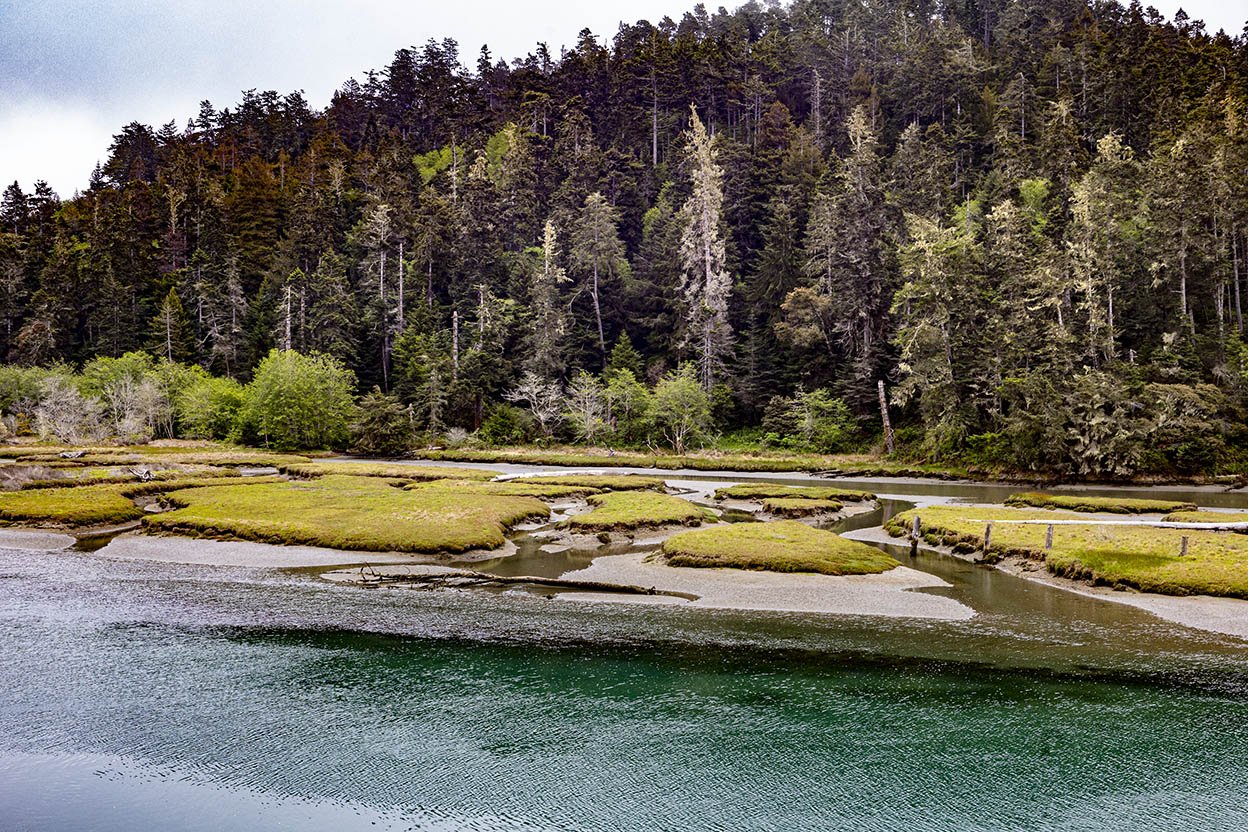 River's edge with conifers on the hill (Copy)