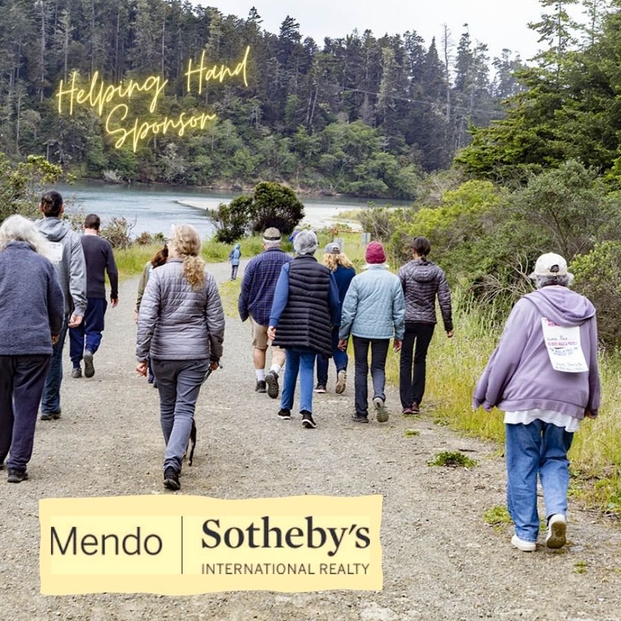 Mendo Sotheby's International Realty logo