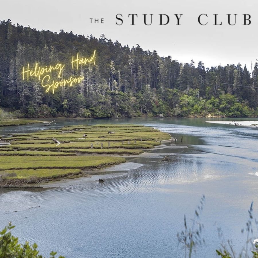 Big River &amp; The Study Club logo
