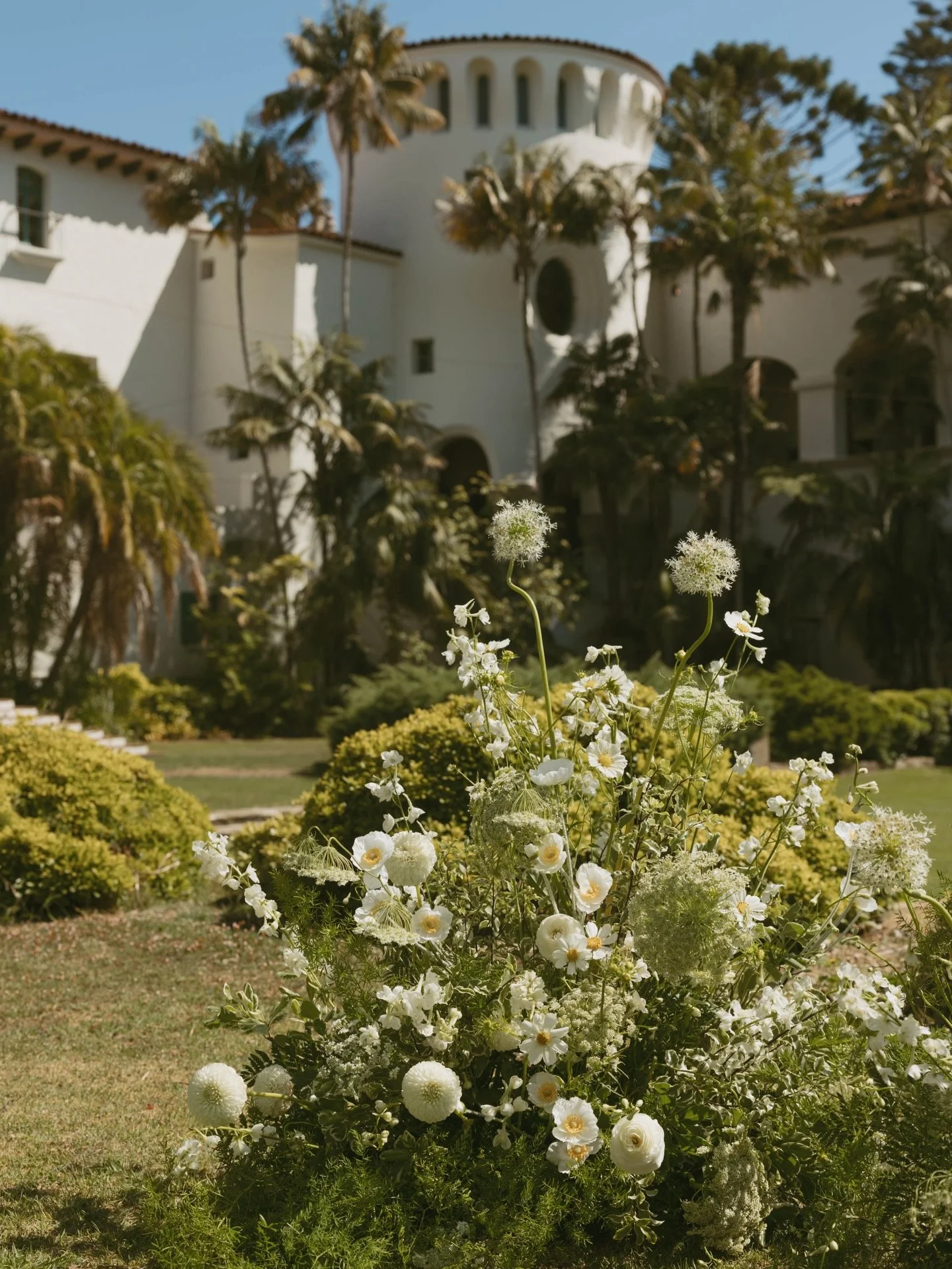 Ground meadows forever at my favorite wedding venue 🥹🥰

@michellelanning_photo 
@santabarbaracourthouseweddings 
@megandlap 
@vandusenvisuals 
@kbeventssb 

Santa Barbara Courthouse Wedding, Santa Barbara Florist, wedding flowers, destination weddi