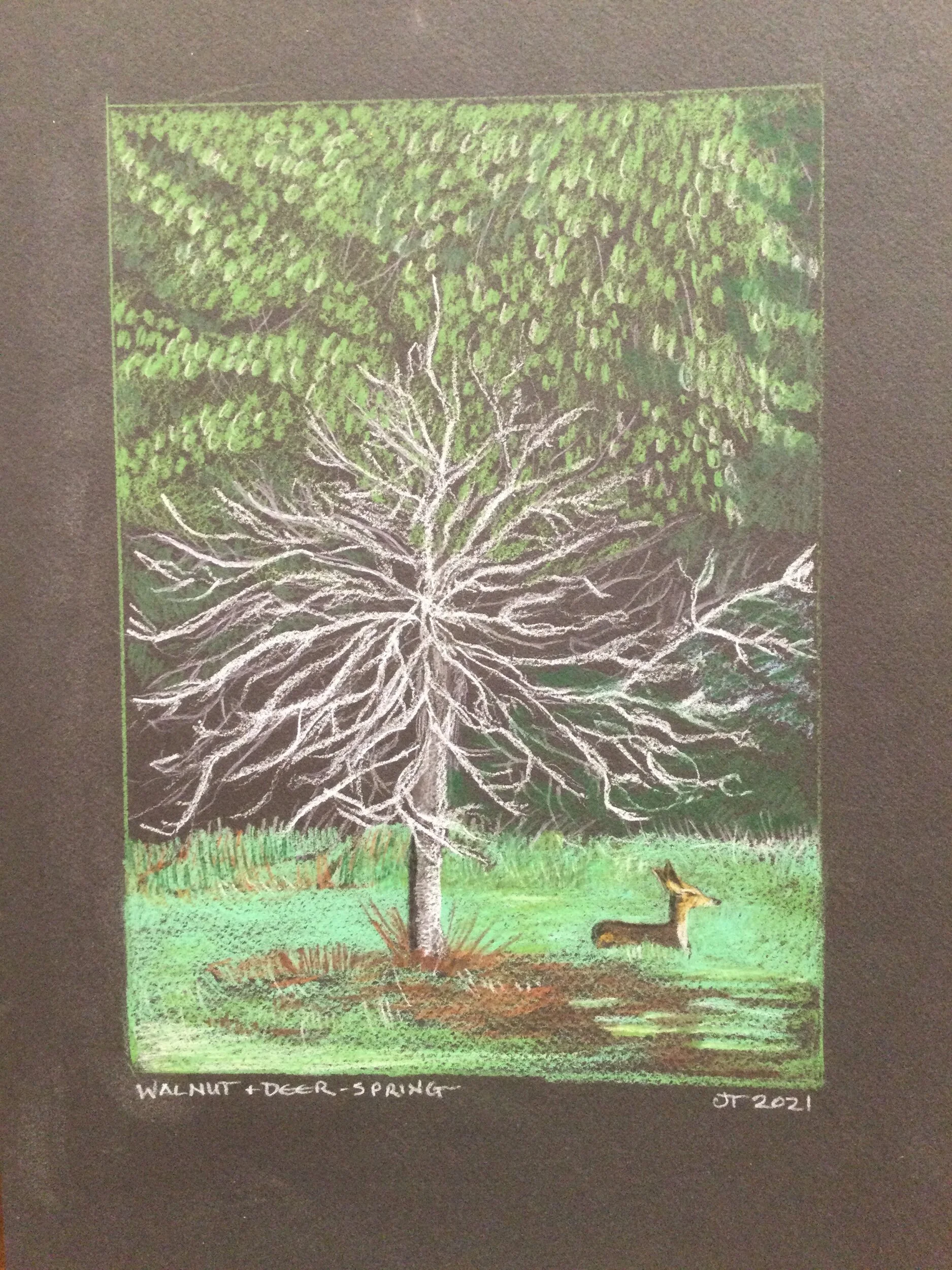 Walnut + Deer Spring 10x14”