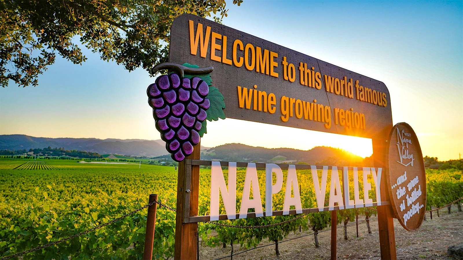 5 Unforgettable Things to Do in Napa Valley