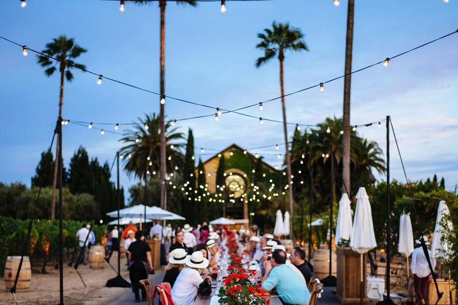 Sunset Palm Dinner