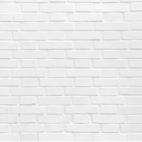 Untitled Design 3.PNG