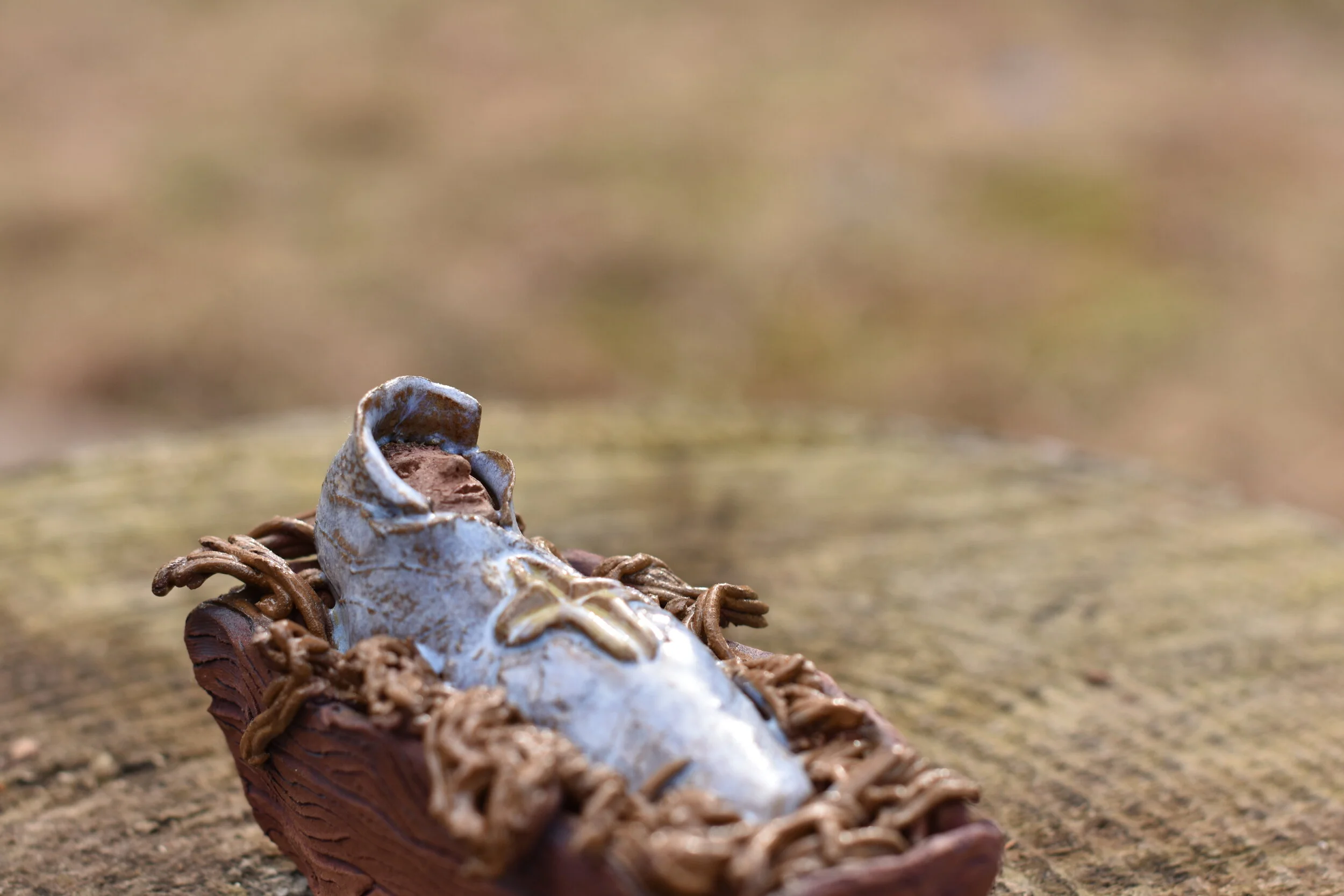 Wrapped in Swaddling Clothes 