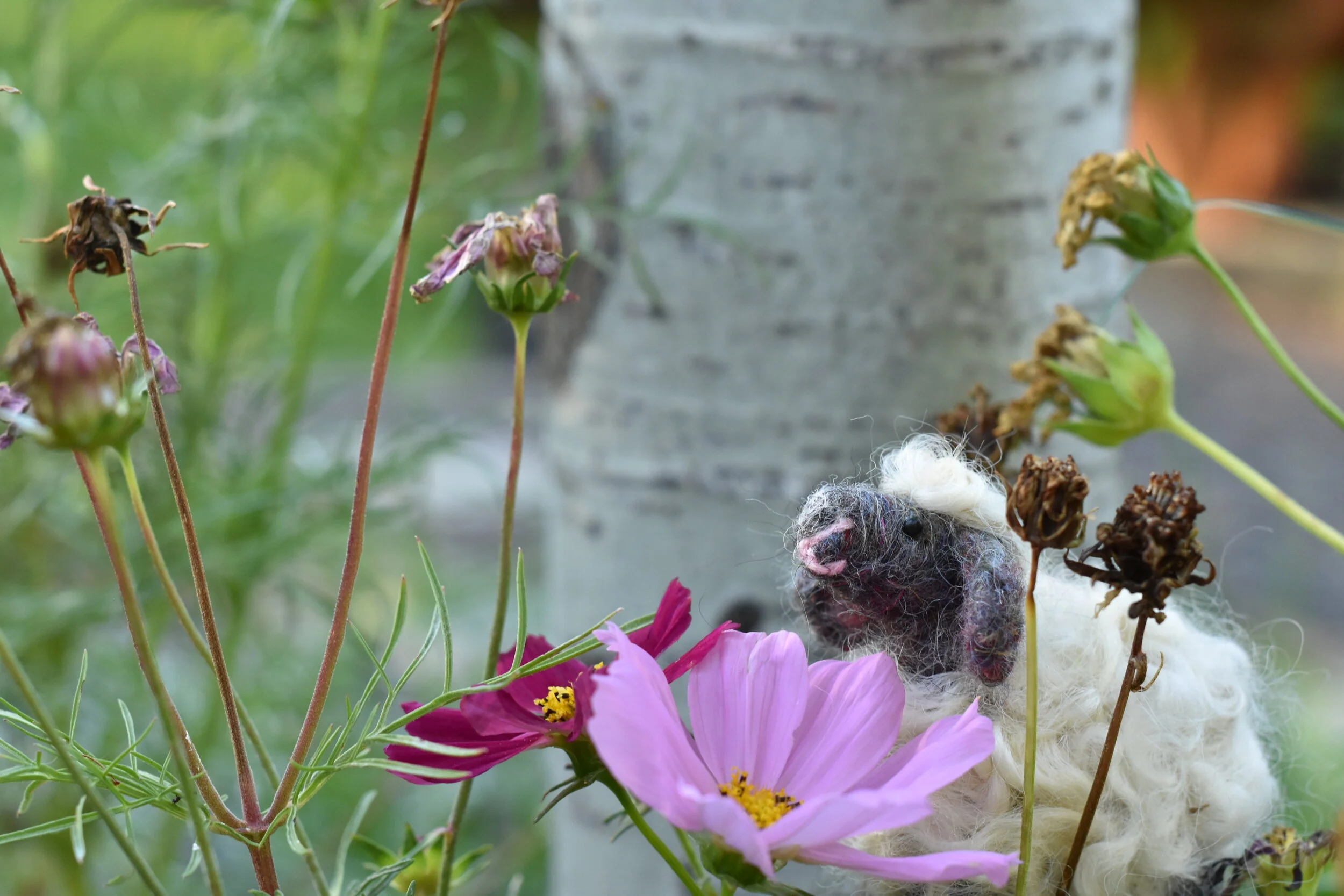 Smelling the Flowers