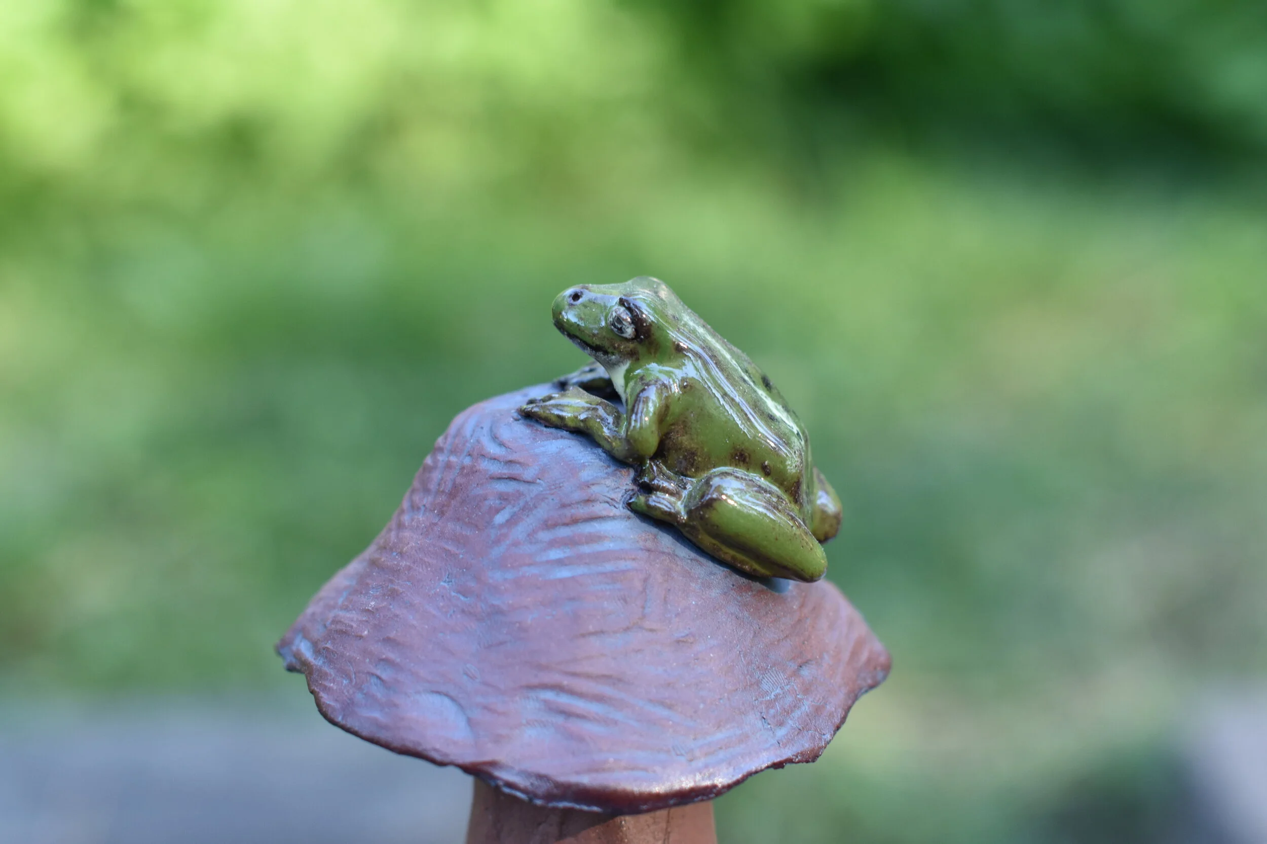 Frog Stool