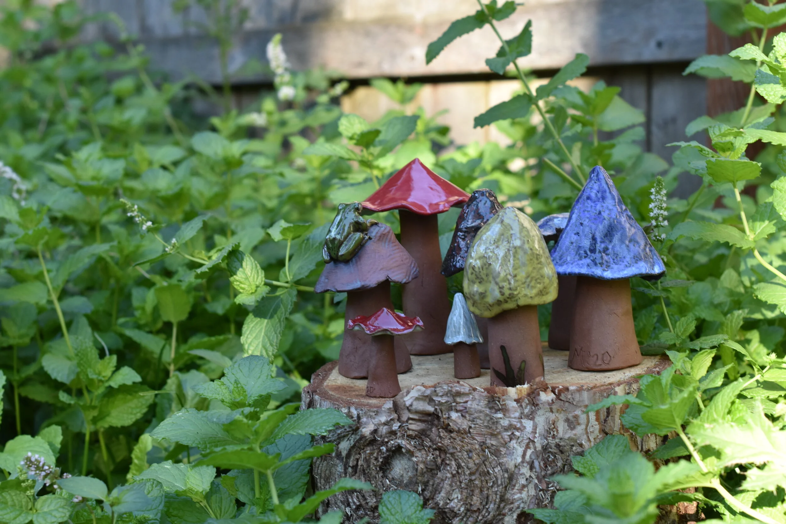 Fairy Circle