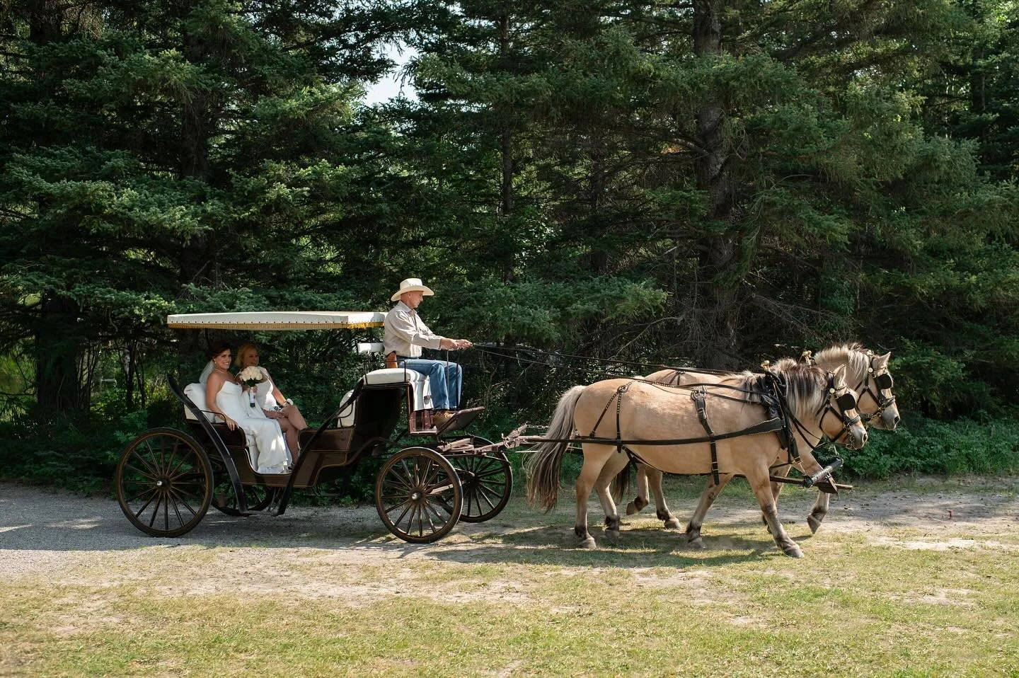 Check out this brides surprise entrance to the aisle! There&rsquo;s a lot that goes into planning all the details of your day but don&rsquo;t forget to think about how you want it to feel and how you want your guests to feel! This surprise had a smil