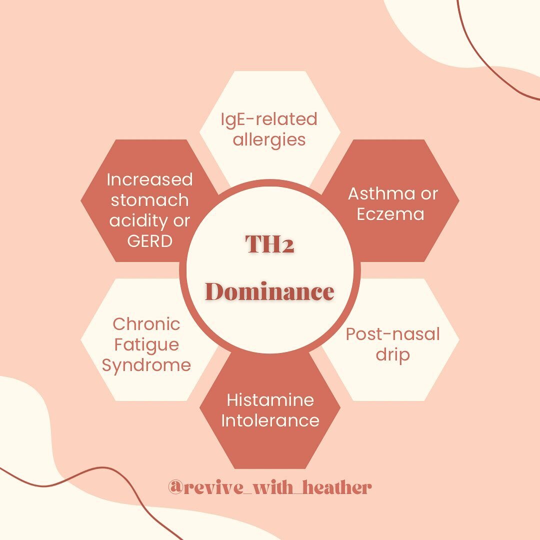 TH2 dominance is something I talk a lot about when explaining histamine intolerance and how one can develop it with clients. 

First off, what is TH1 dominance and TH2 dominance?

TH1 and TH2 refers to the T helper cells within the immune system. 

T