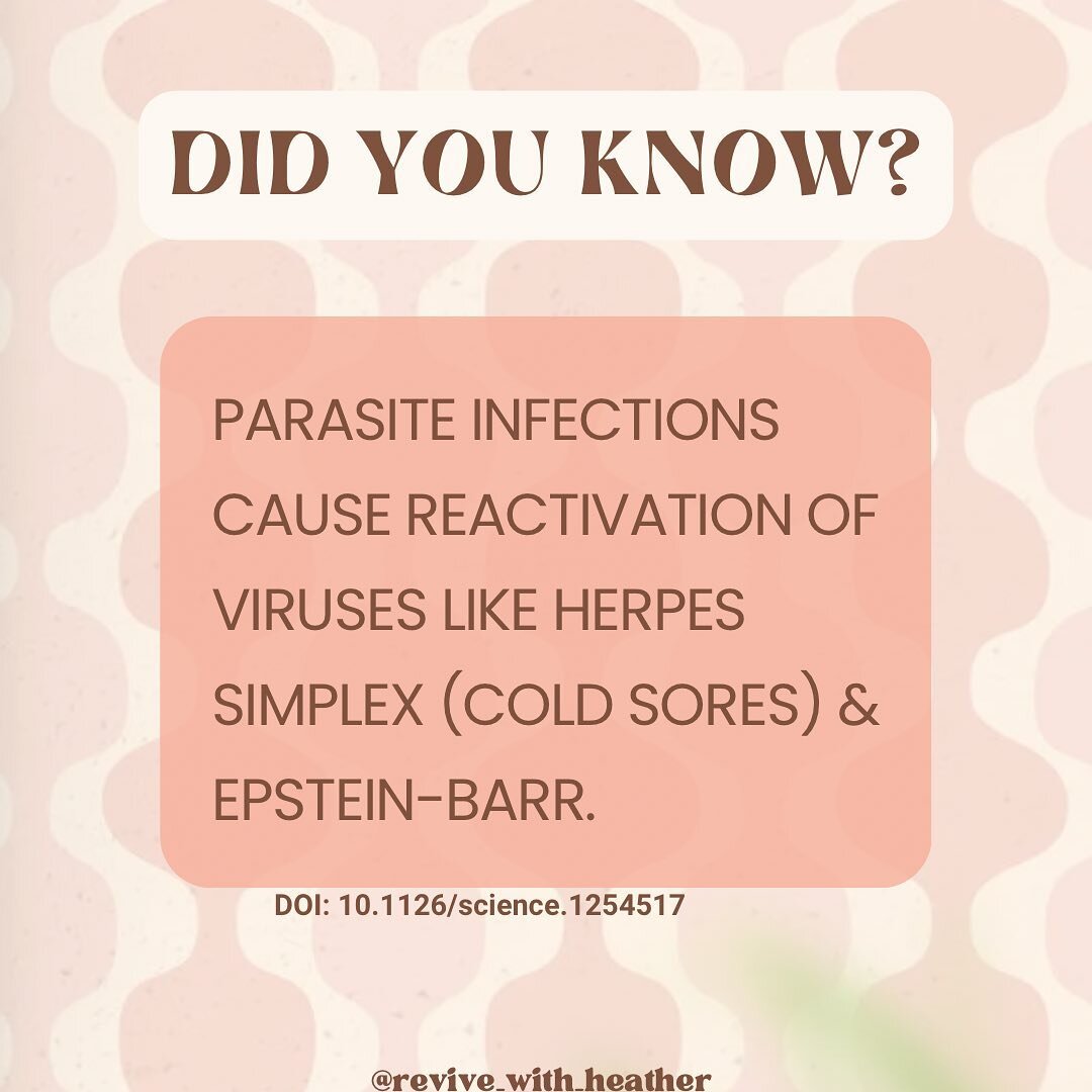 Do you find yourselves getting cold sores (herpes simplex virus) year after year no matter how much immune support you try?

Did  you know parasites cause reactivation of viruses like herpes simplex in addition to other viruses like epstein bar?

Why
