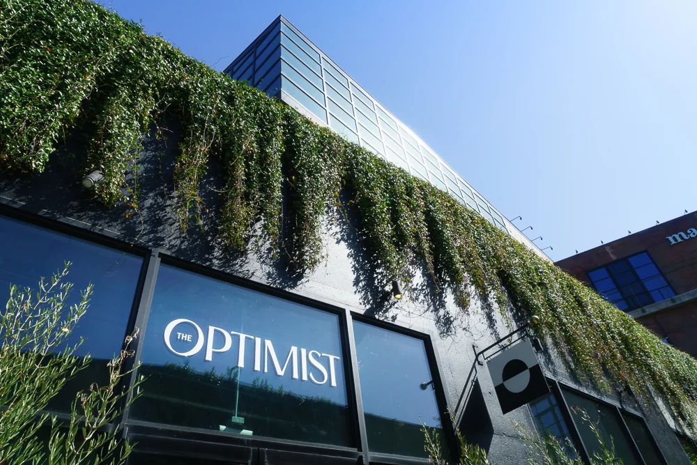 1067_20190929 THE OPTIMIST 1.jpg