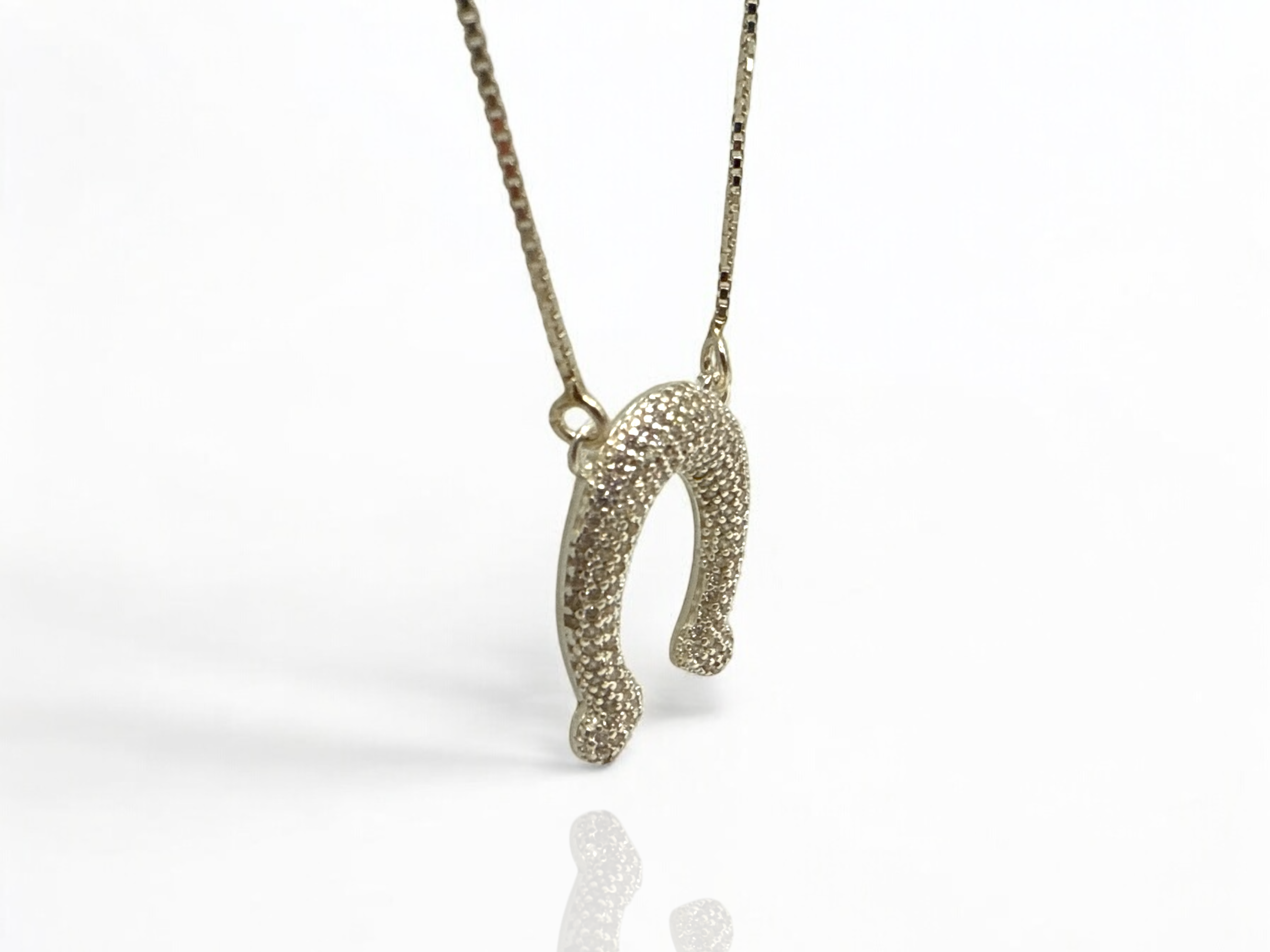 Horseshoe Radiance Necklace 7.PNG