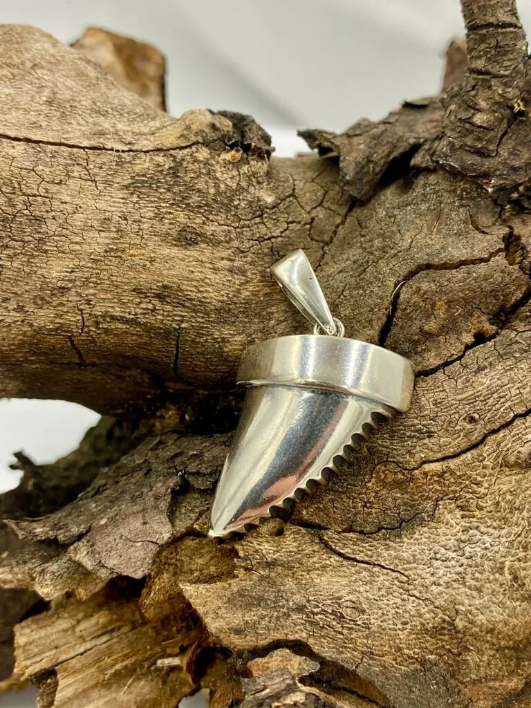 Shark Tooth Pendant
