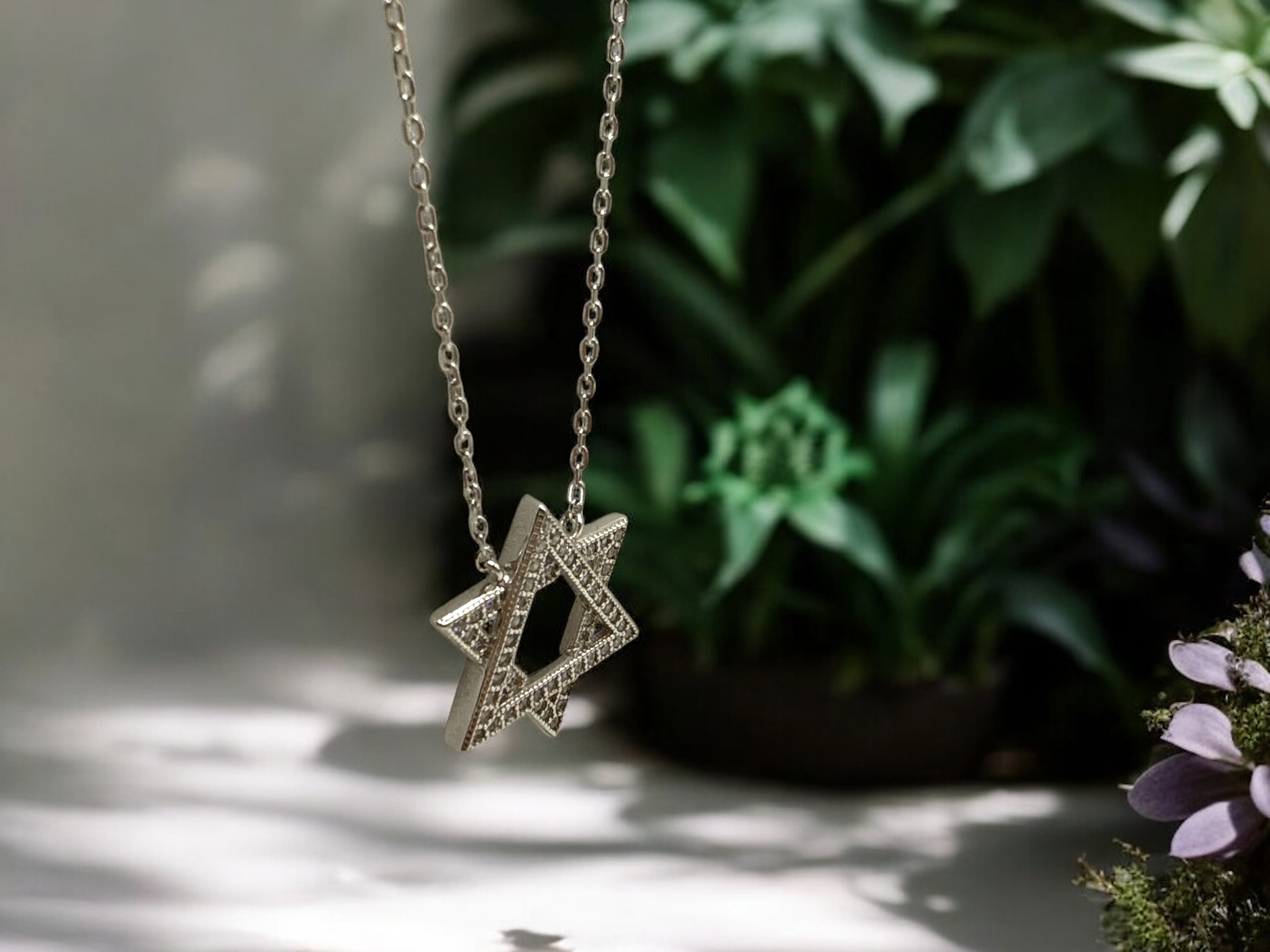 Magen David  Necklace 5.PNG