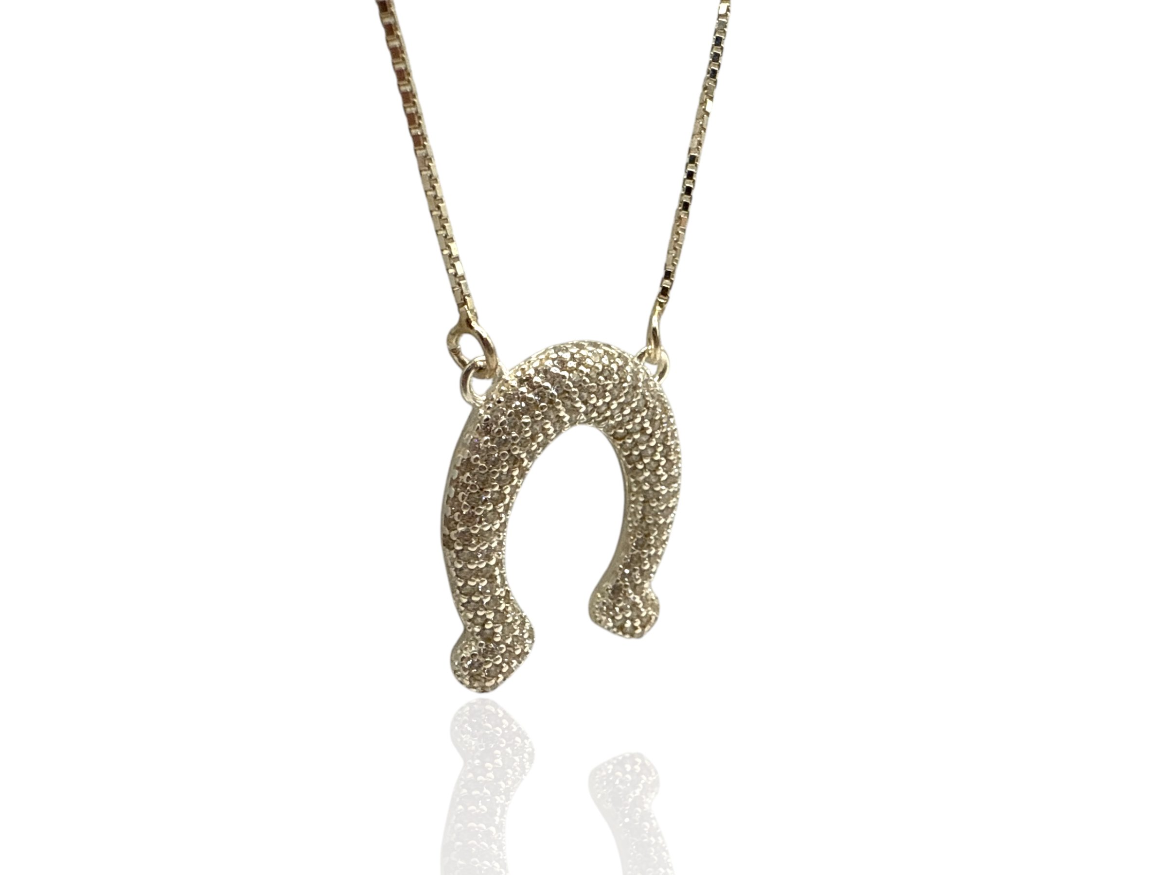 Horseshoe Radiance Necklace 5.PNG