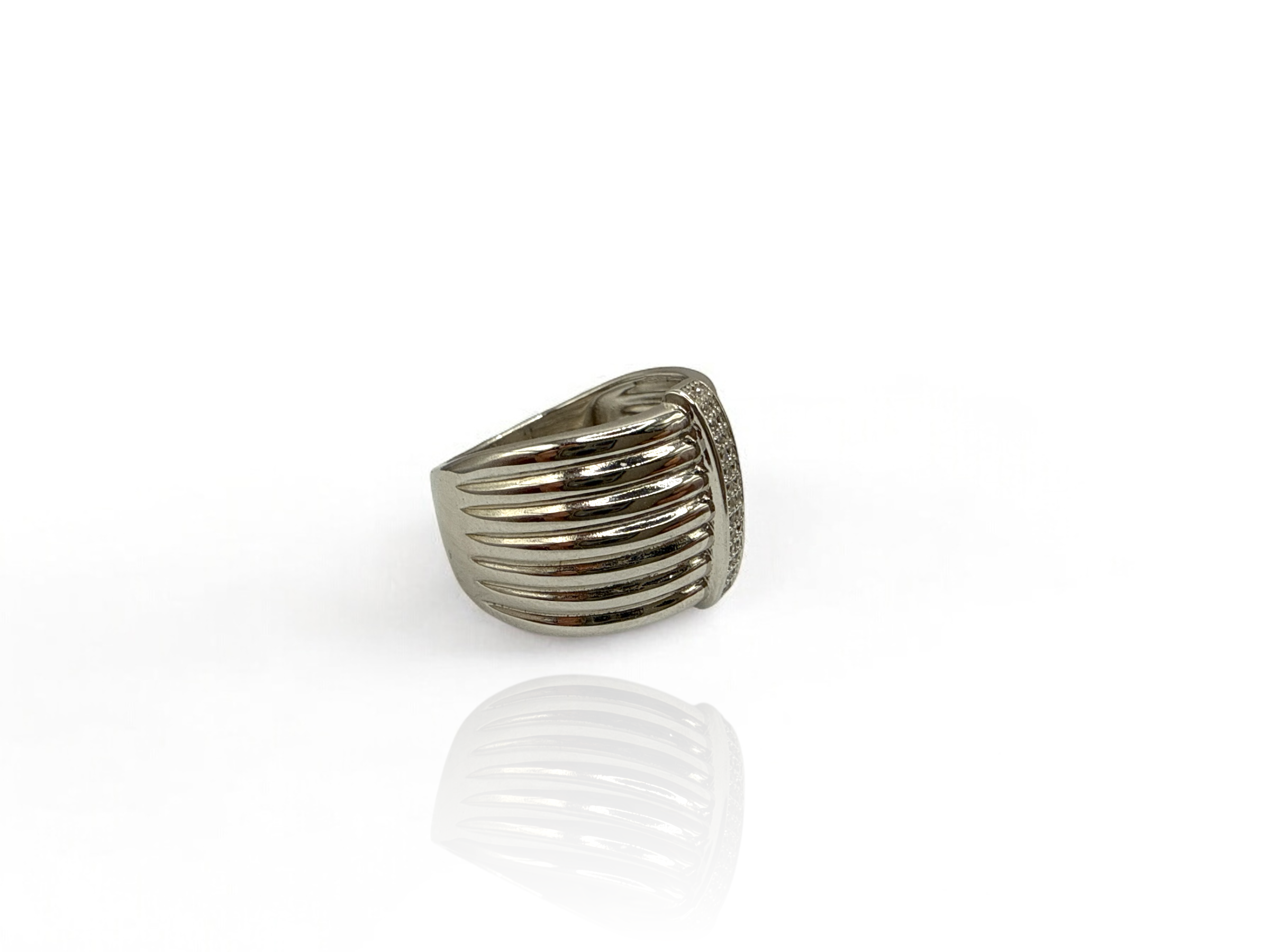 Radiant Stripe Ring1.PNG