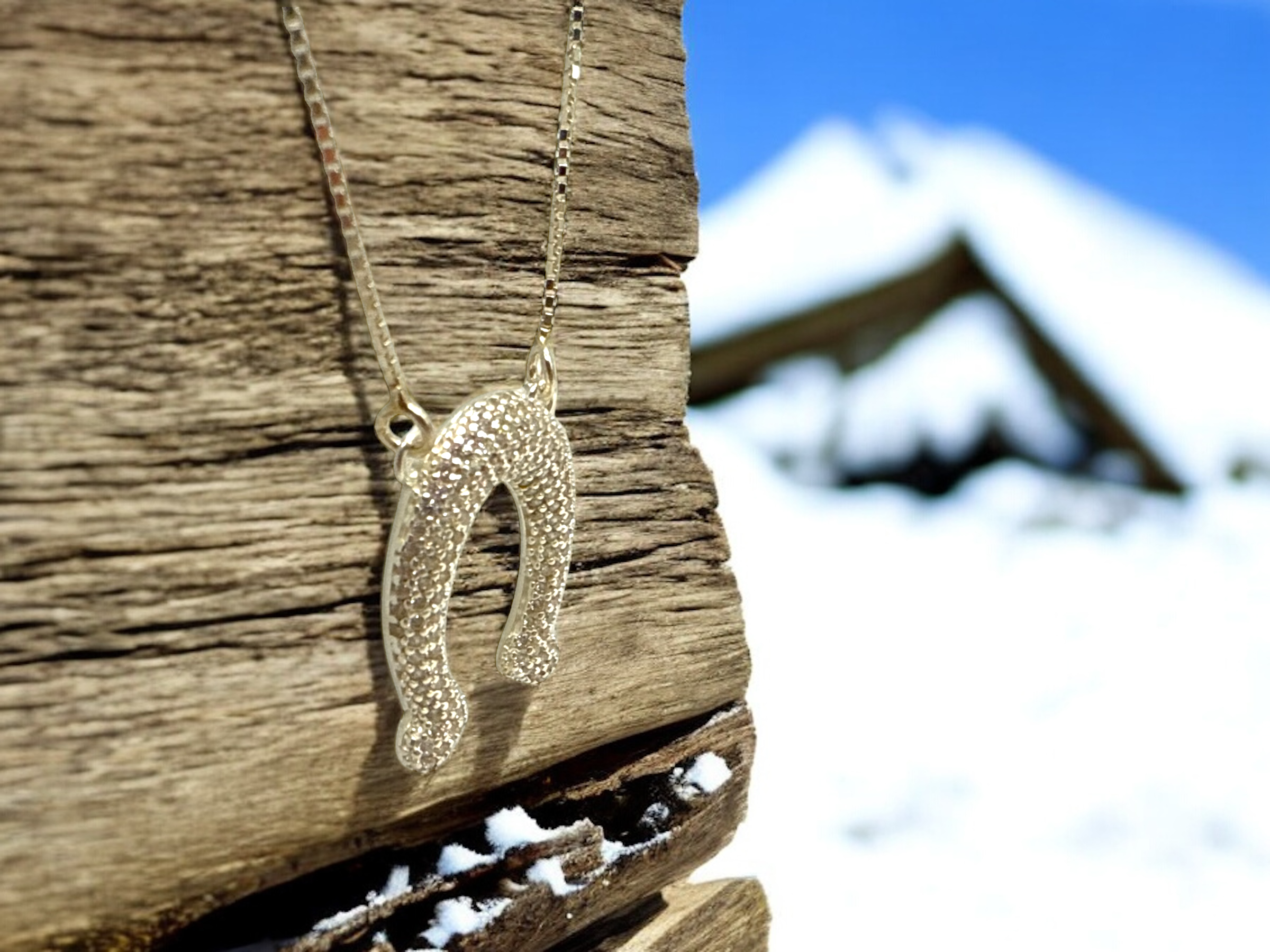 Horseshoe Radiance Necklace 6.PNG