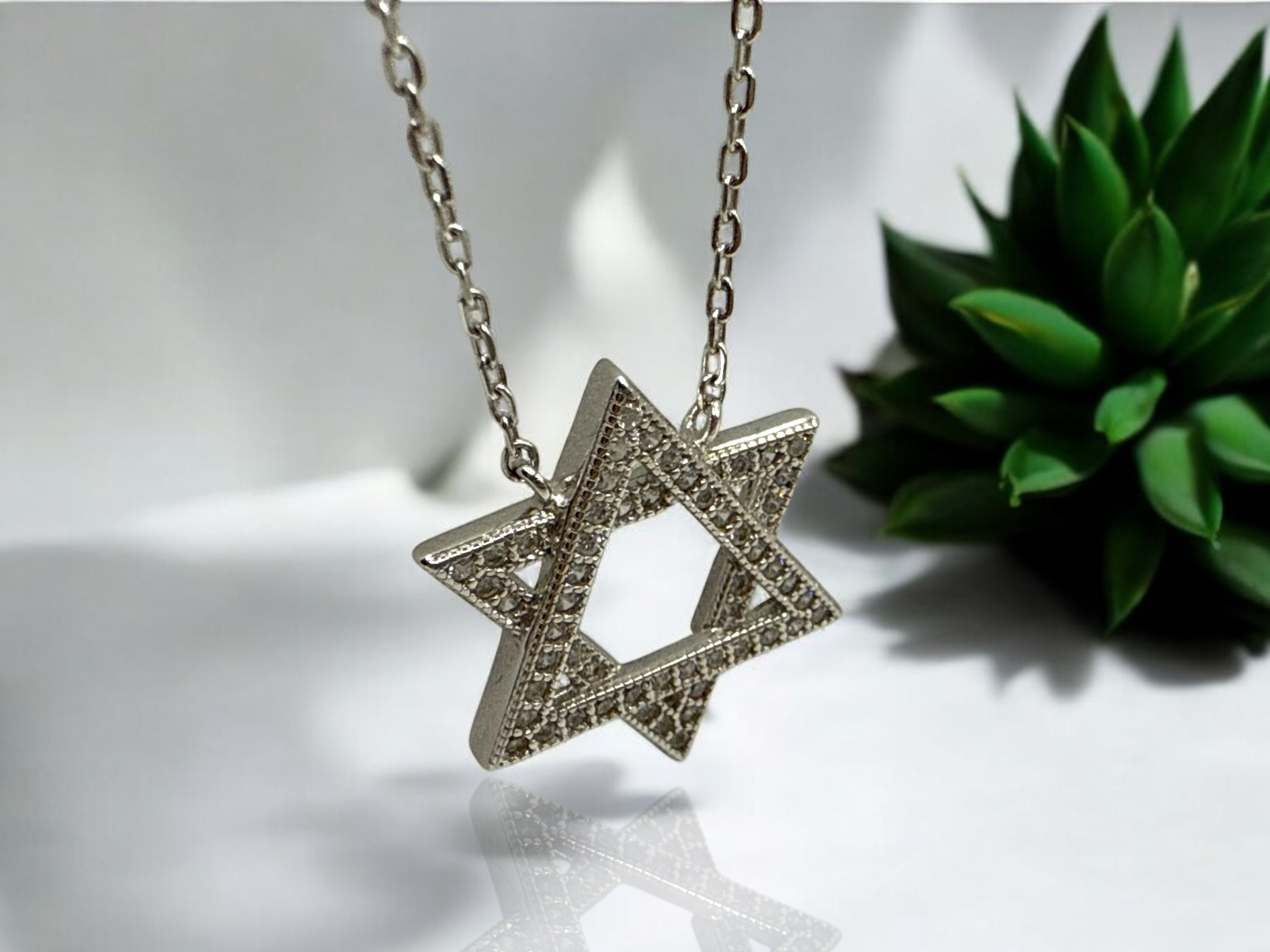 Magen David  Necklace 2.PNG