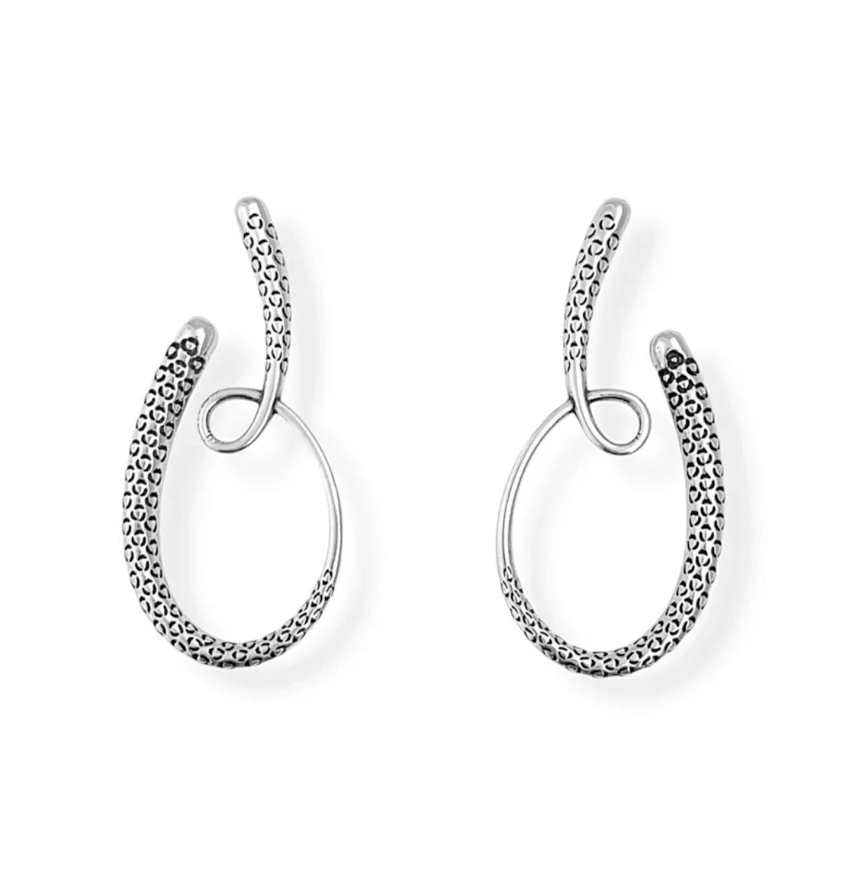 WhatsApp Image 2025-11-06 at 11.32.58.jpeg