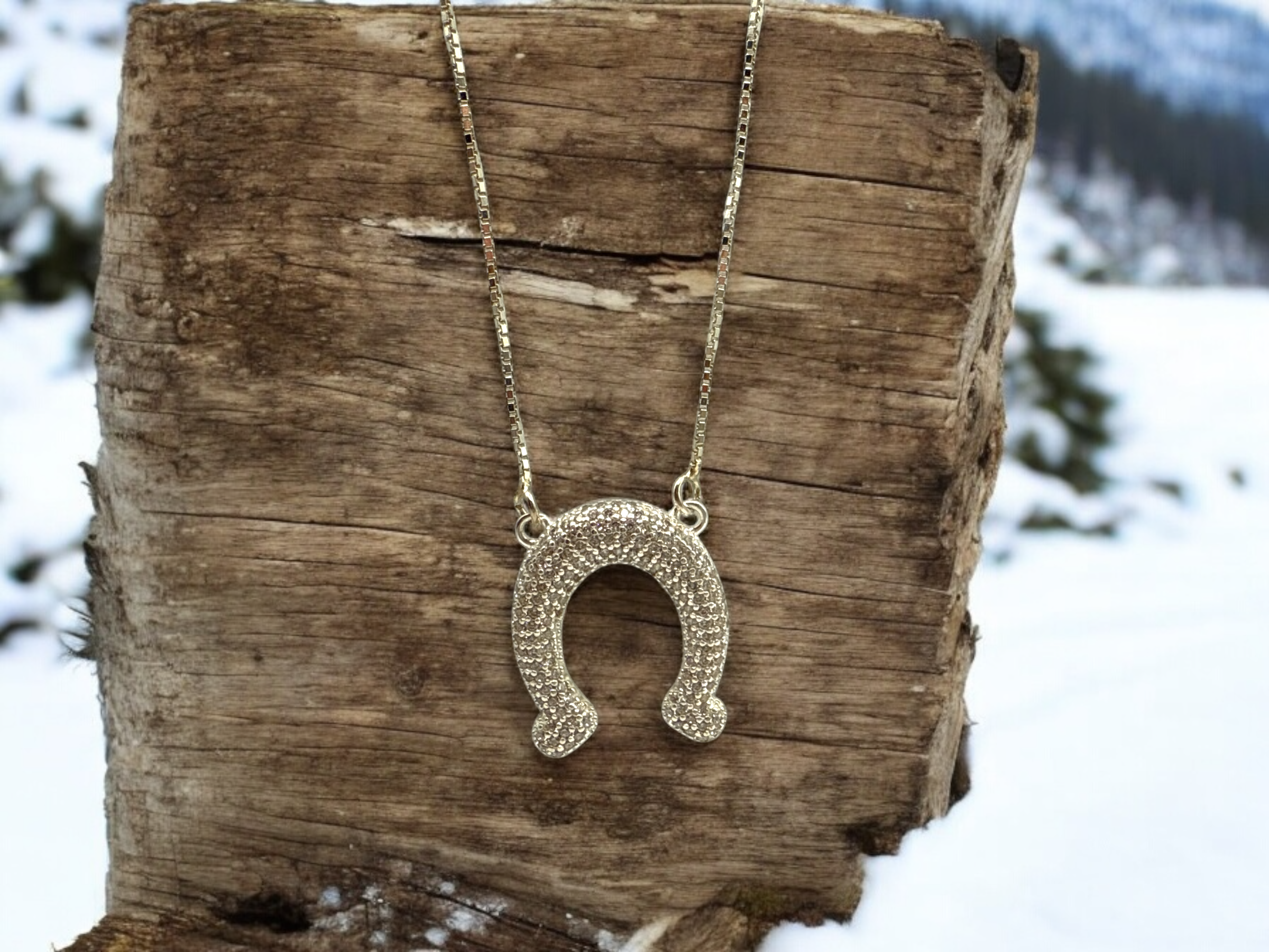 Horseshoe Radiance Necklace