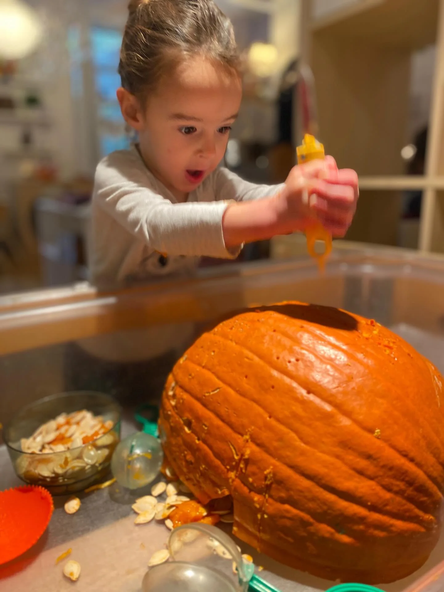 At Newtowne, we are continuing to celebrate the sights, textures, and wonders of the fall season. This week, the children of the Purple Fish classroom were invited to engage with a pumpkin in their sensory bin. Different tools created different types