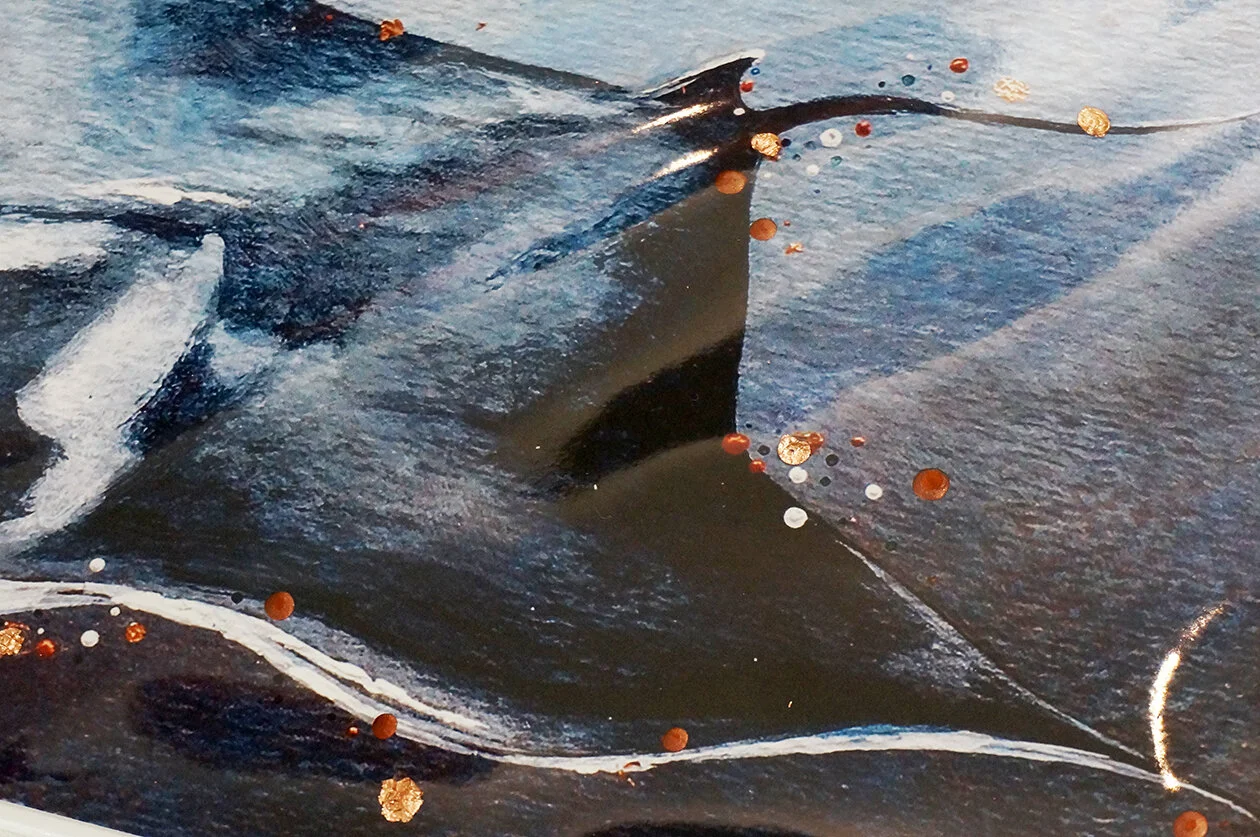 Manta Ray.closeup.jpg