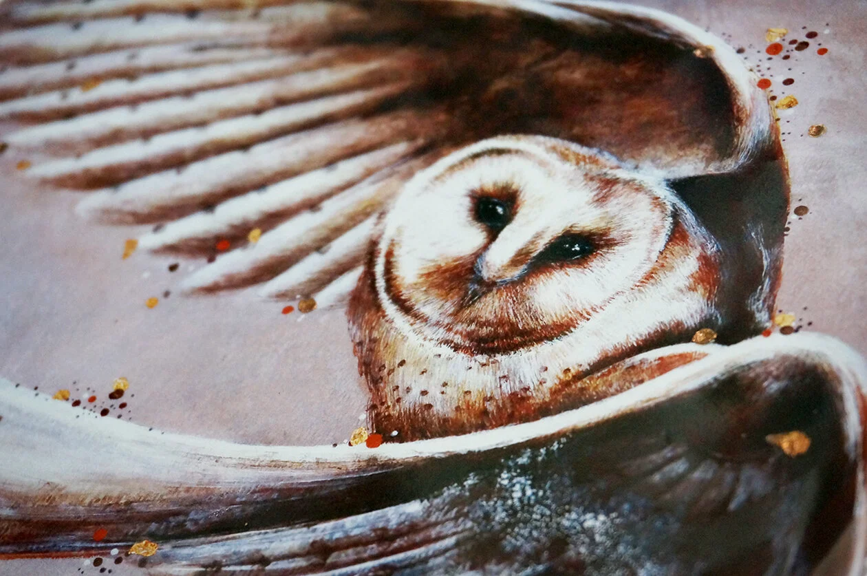 pueo.closeup.jpg