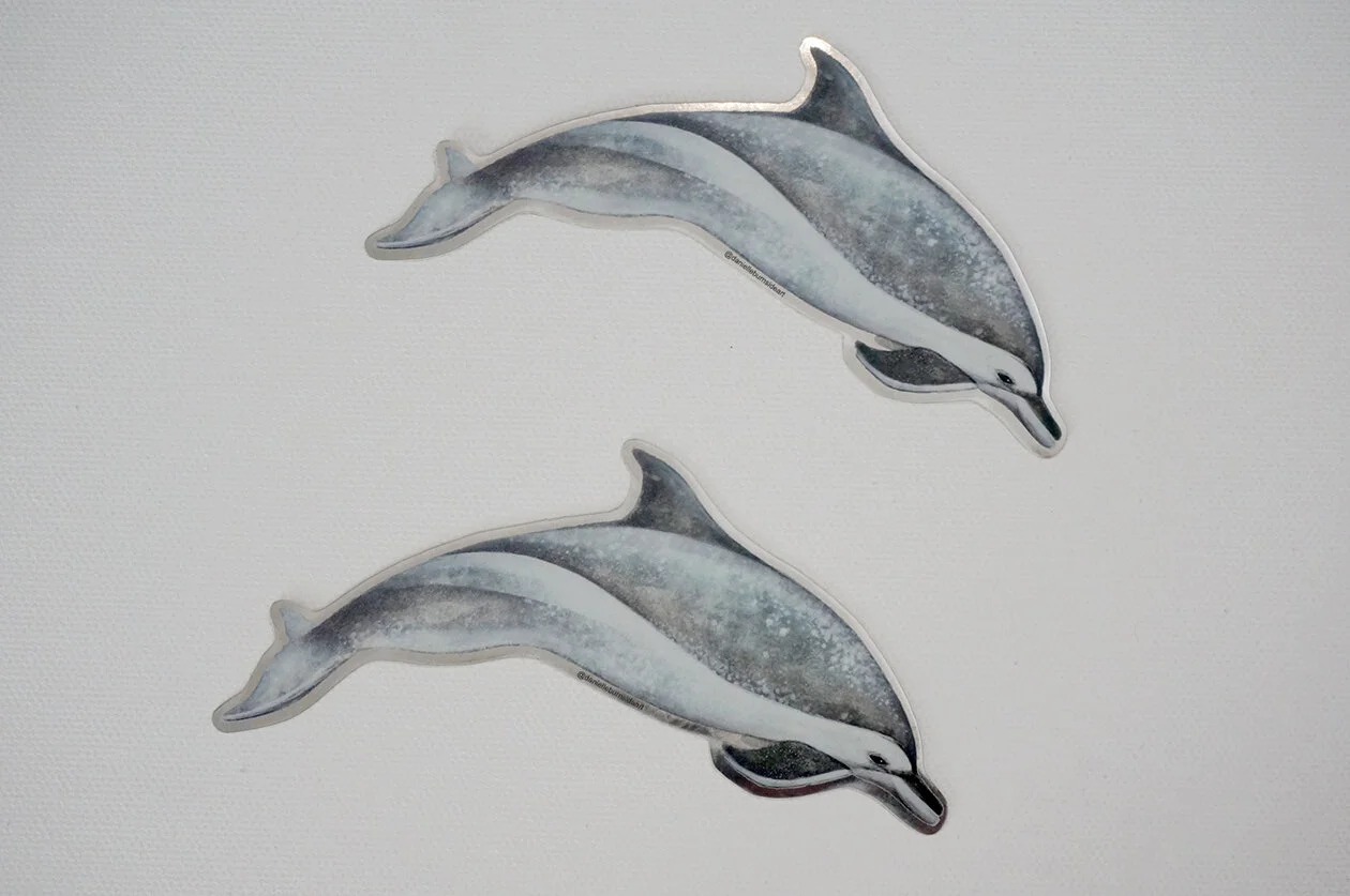 dolphin_2.jpg