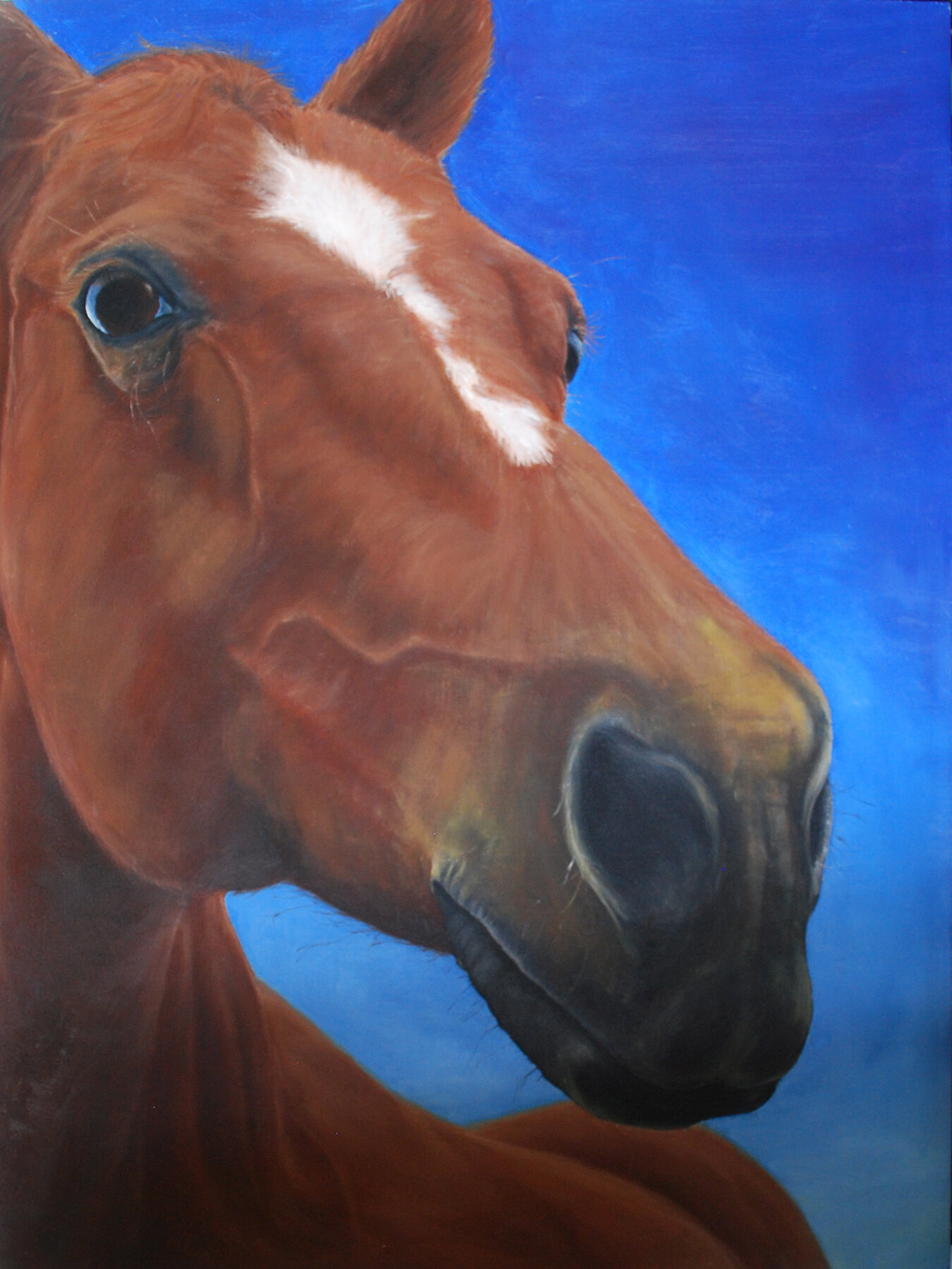 Horse.jpg