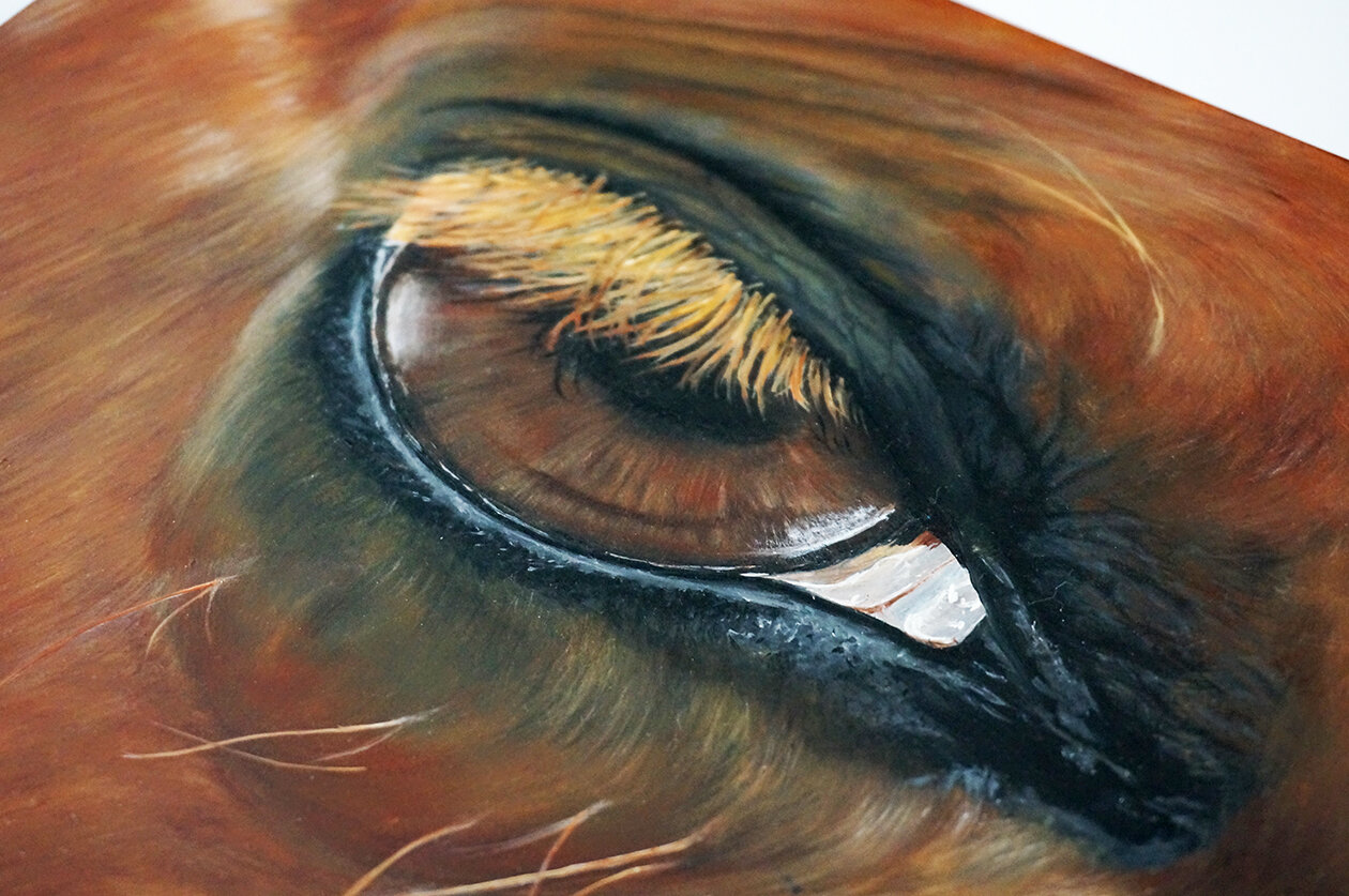 EyeSeeYou_3.jpg